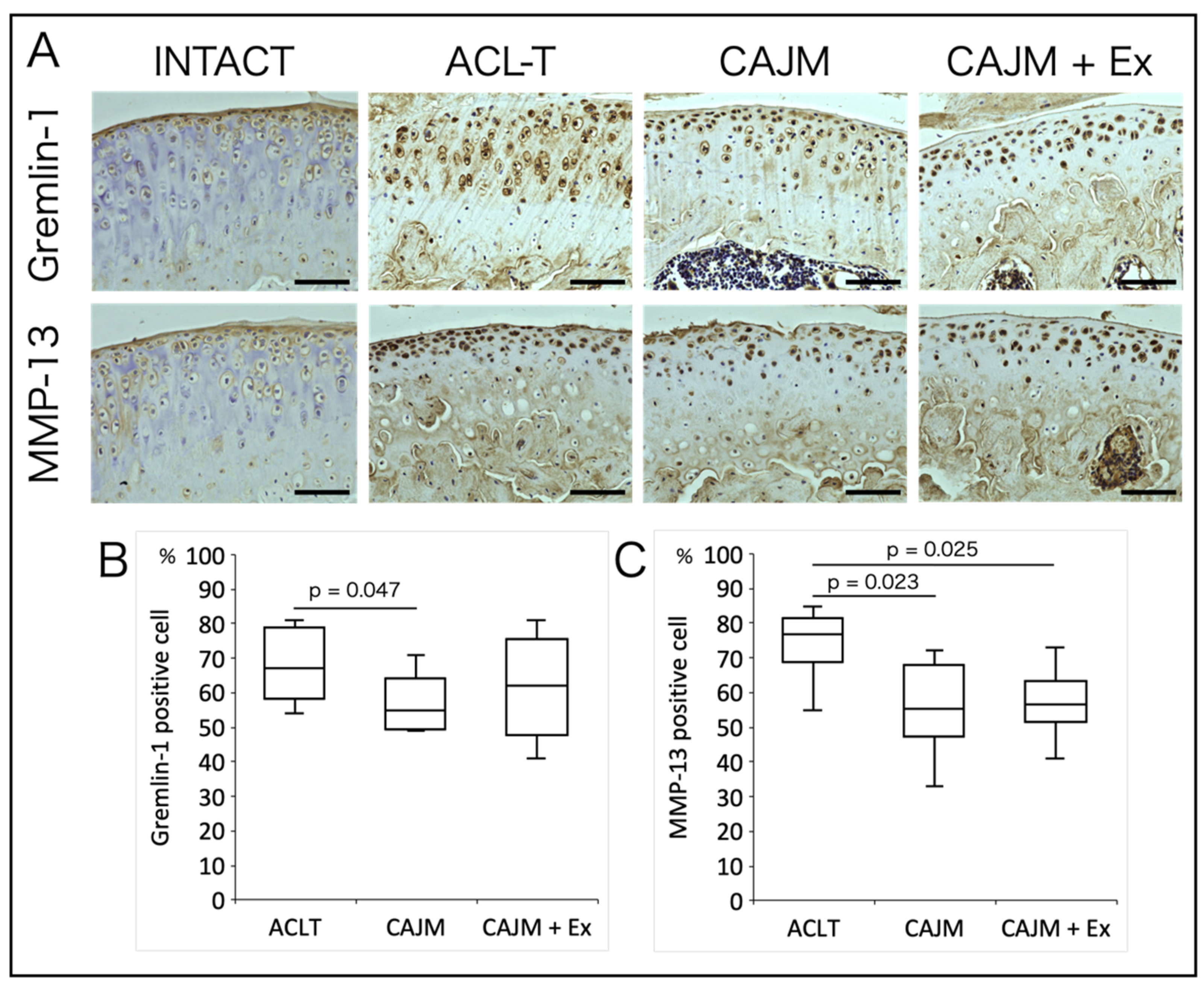 Life 11 00303 g005 Life 11 00303 g005