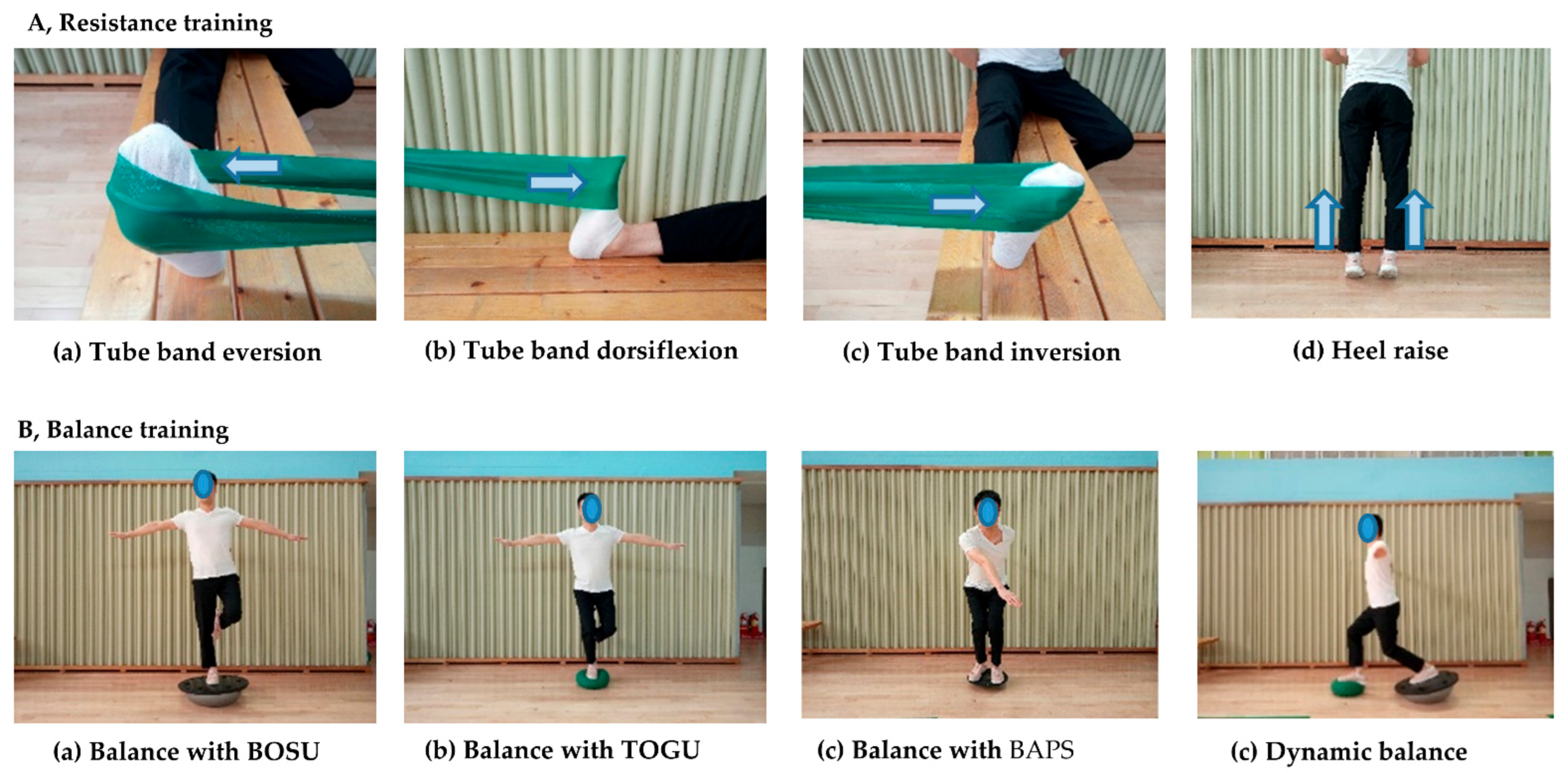 Life | Free Full-Text | Comparison of the Effect of Resistance and Balance  Training on Isokinetic Eversion Strength, Dynamic Balance, Hop Test, and  Ankle Score in Ankle Sprain