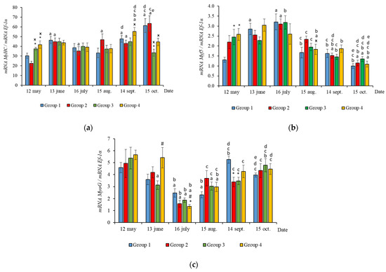 Life Free Full Text The Effect Of Continuous Light On Growth And Muscle Specific Gene Expression In Atlantic Salmon Salmo Salar L Yearlings Html