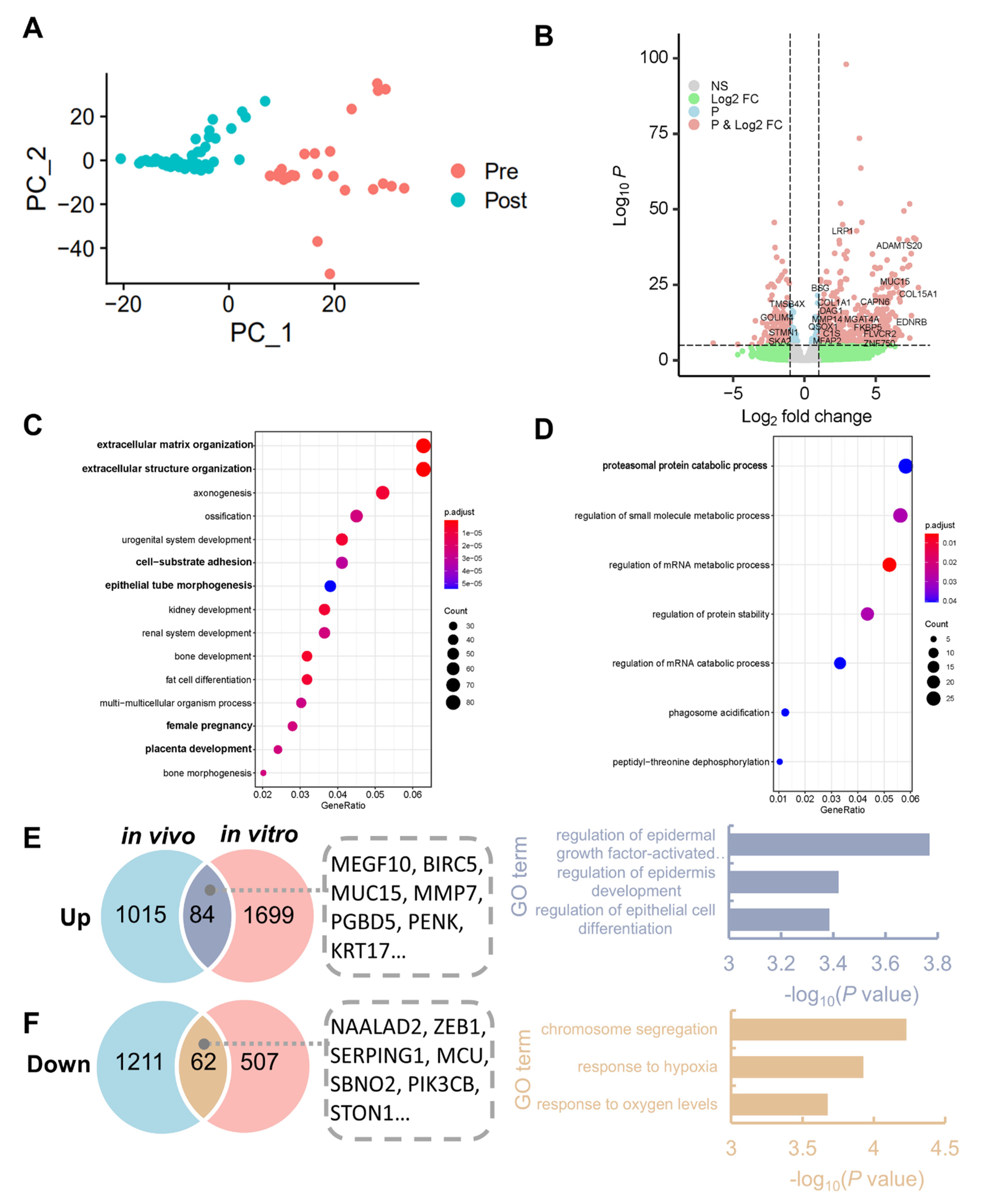 Life 11 00367 g002 Life 11 00367 g002