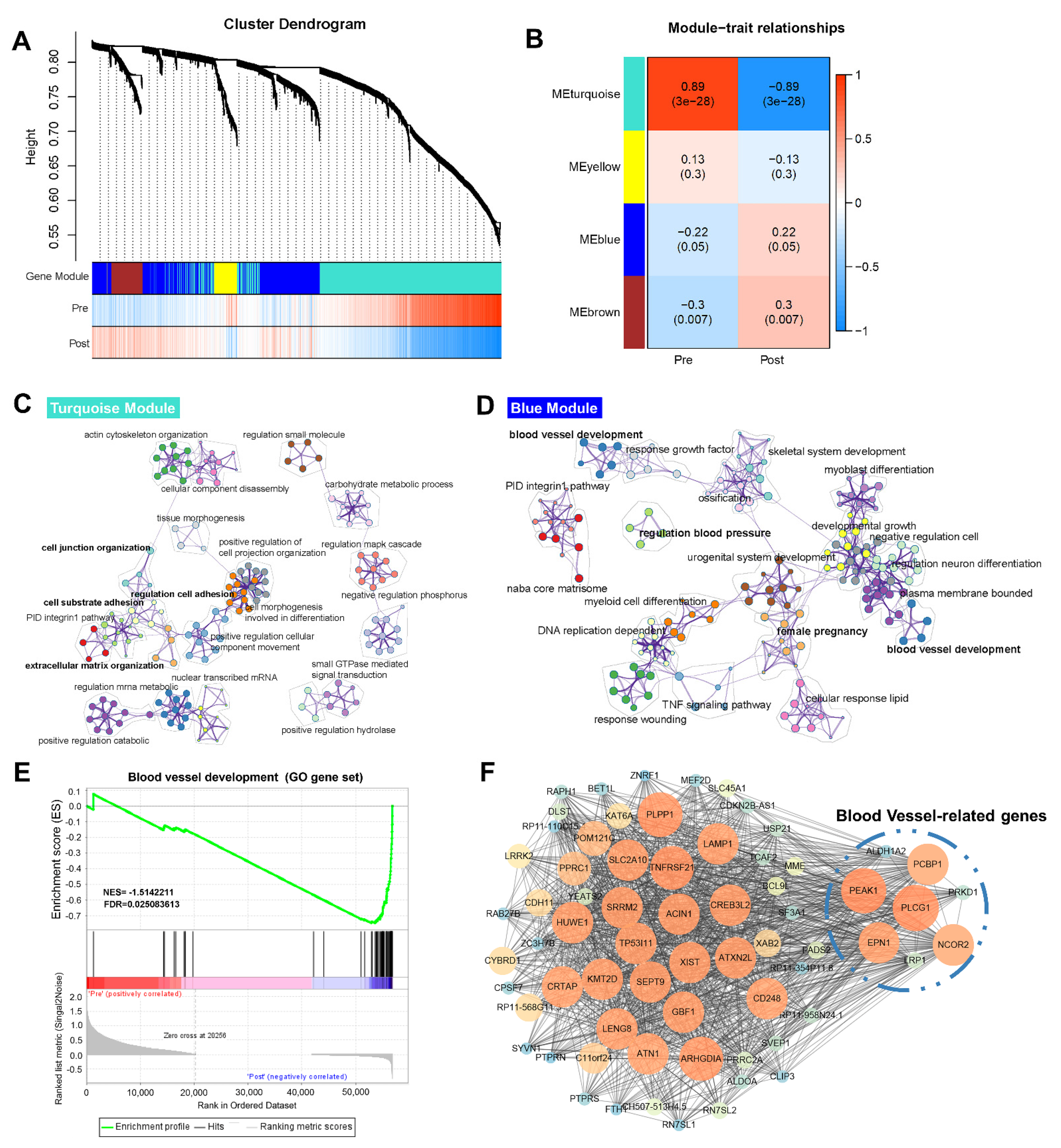 Life 11 00367 g003 Life 11 00367 g003