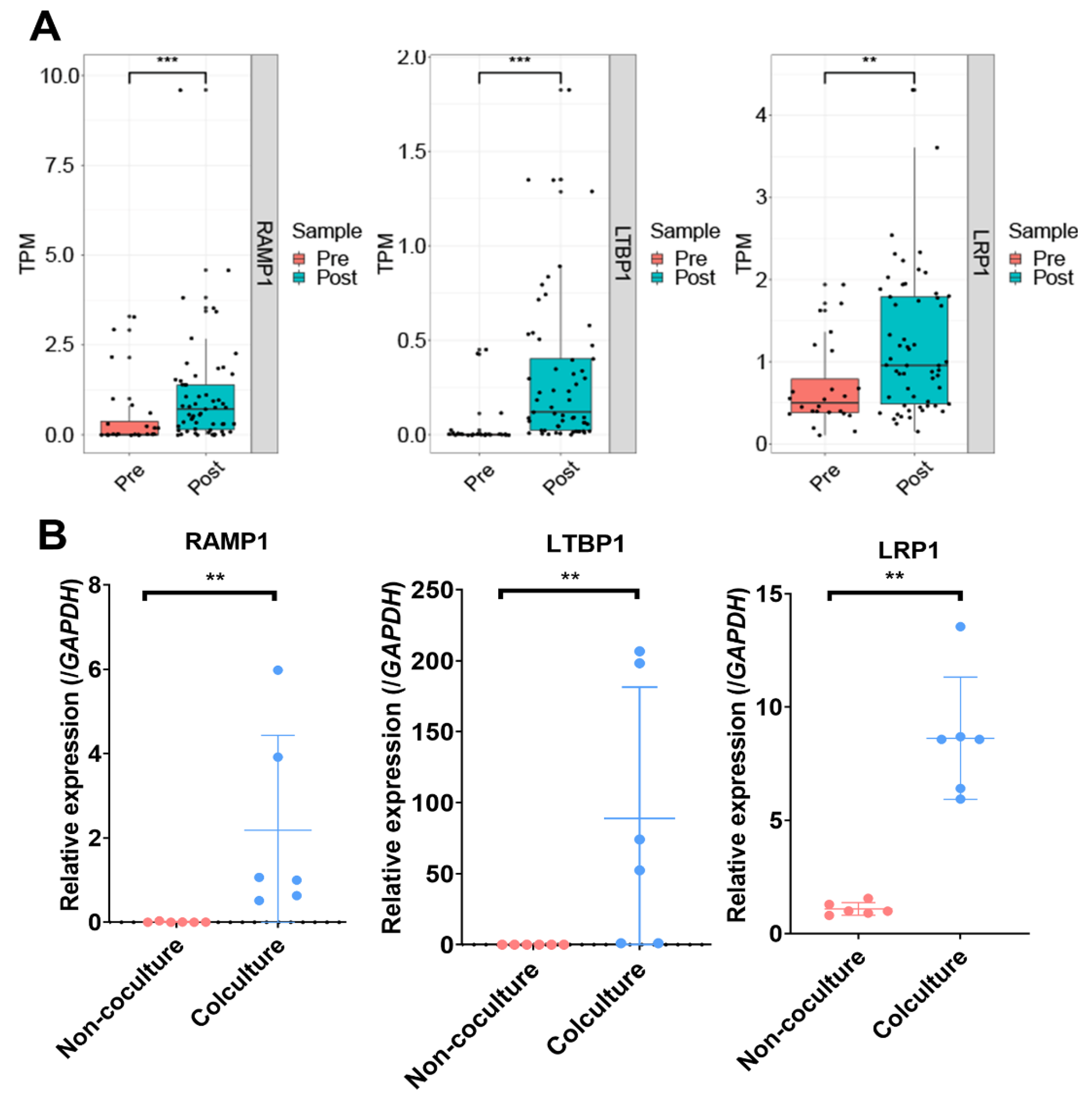 Life 11 00367 g004 Life 11 00367 g004