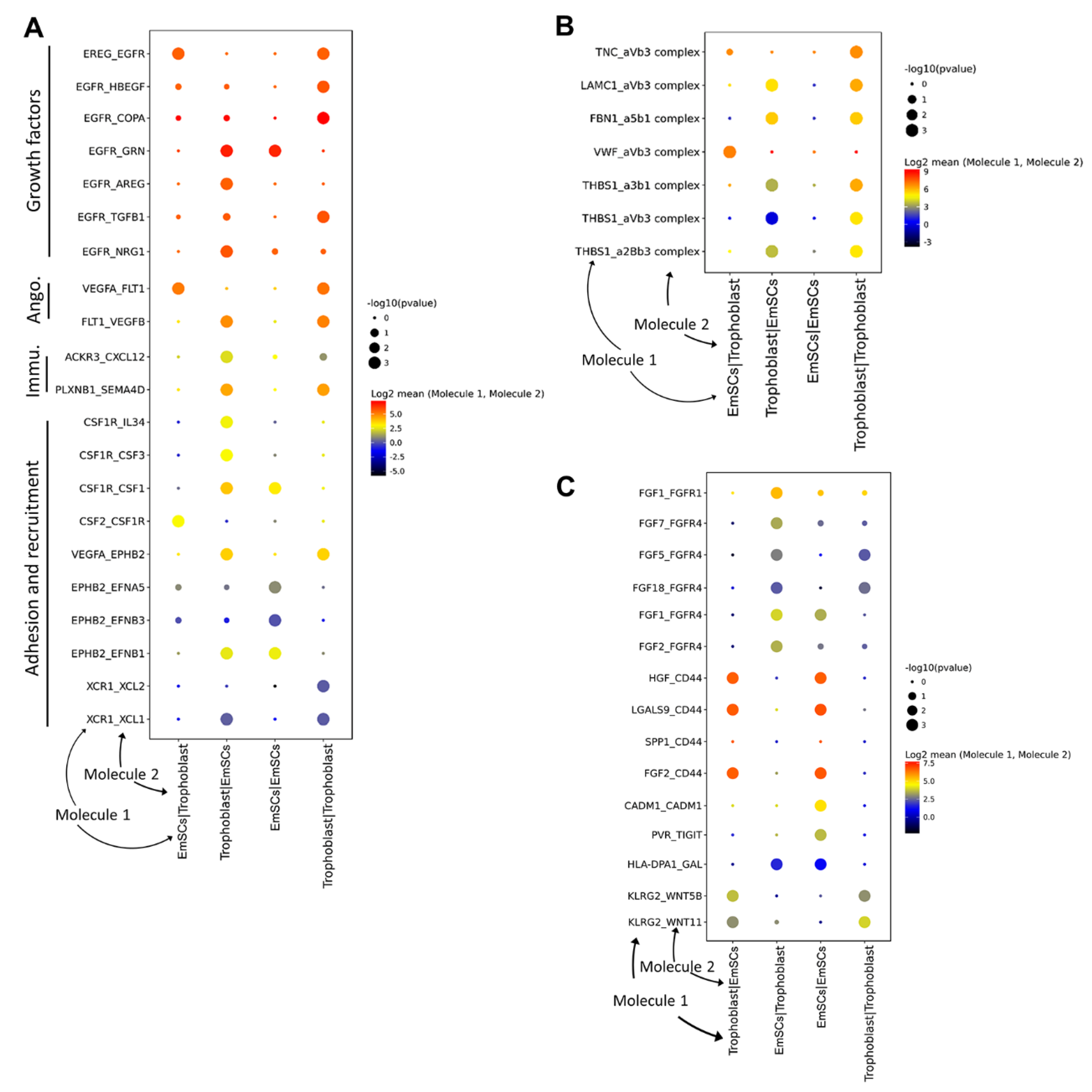 Life 11 00367 g005 Life 11 00367 g005