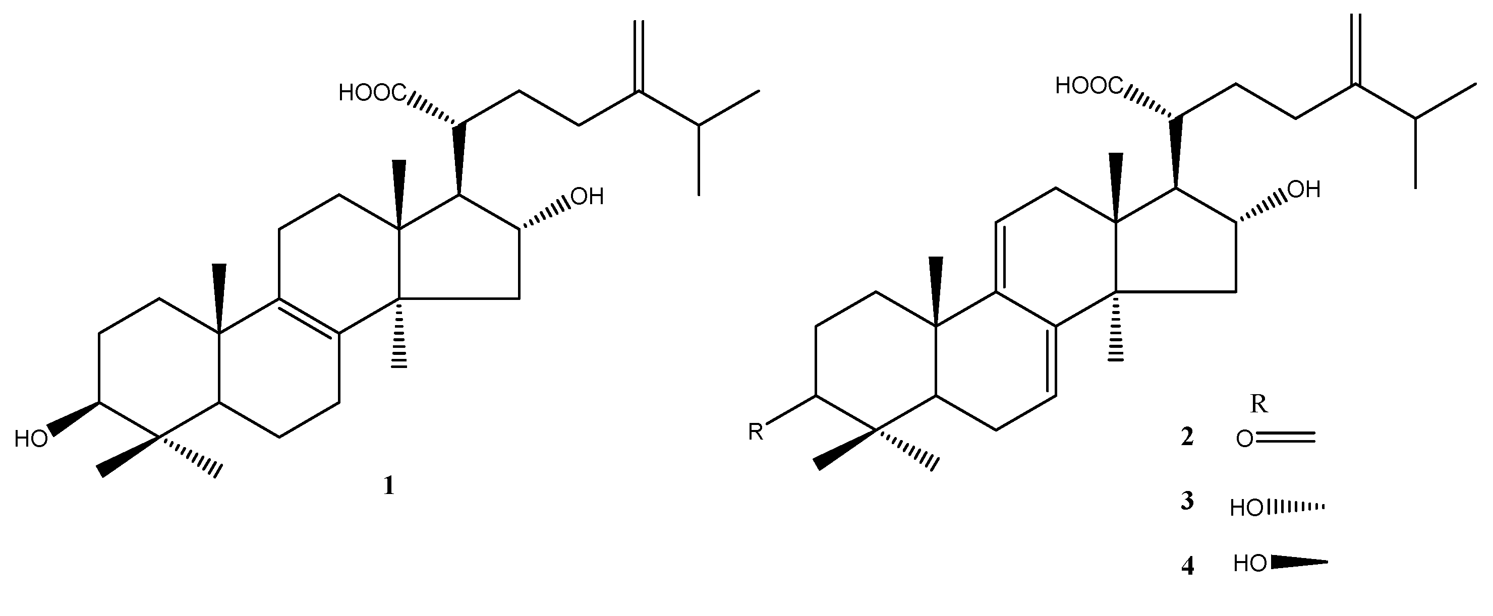 Life 11 00372 g001 Life 11 00372 g001