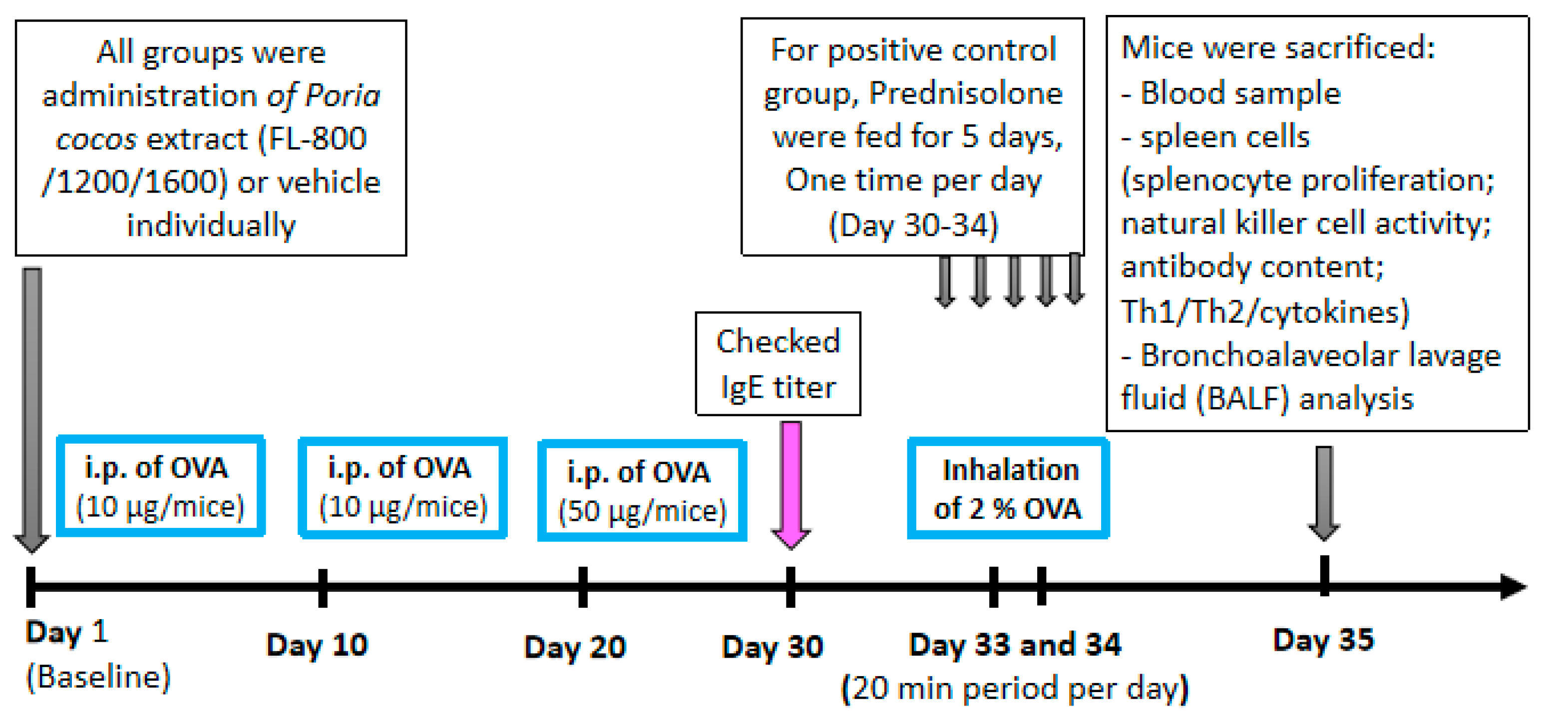 Life 11 00372 g002 Life 11 00372 g002
