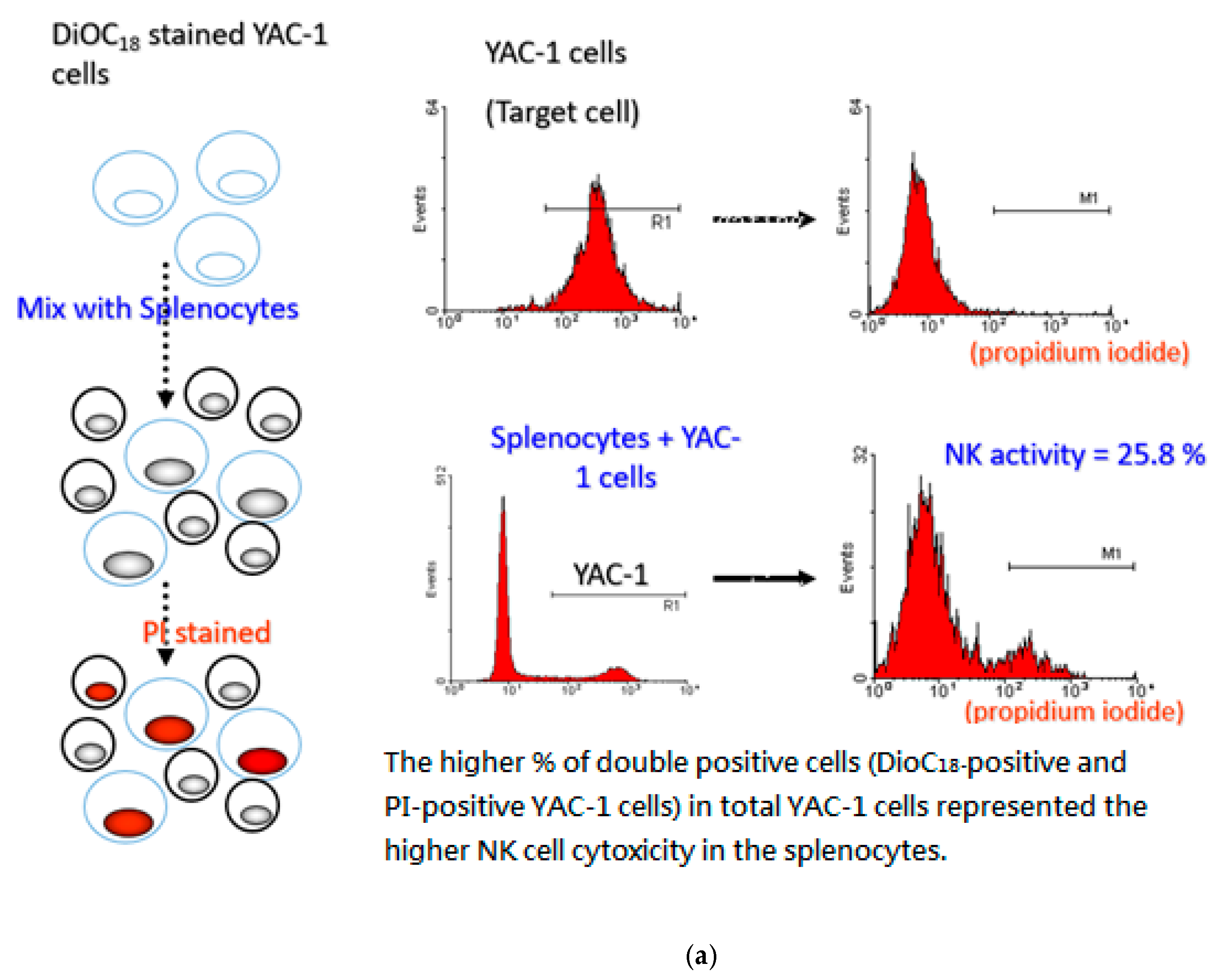 Life 11 00372 g008a Life 11 00372 g008a