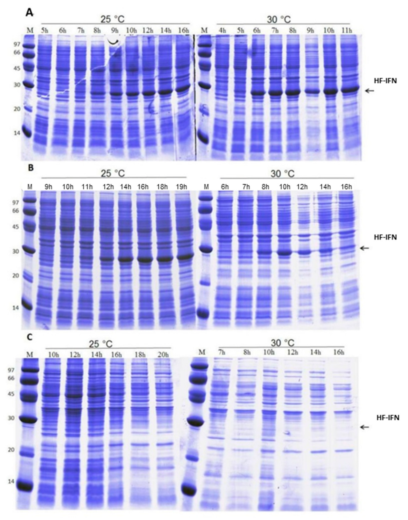 Life 11 00460 g003 Life 11 00460 g003