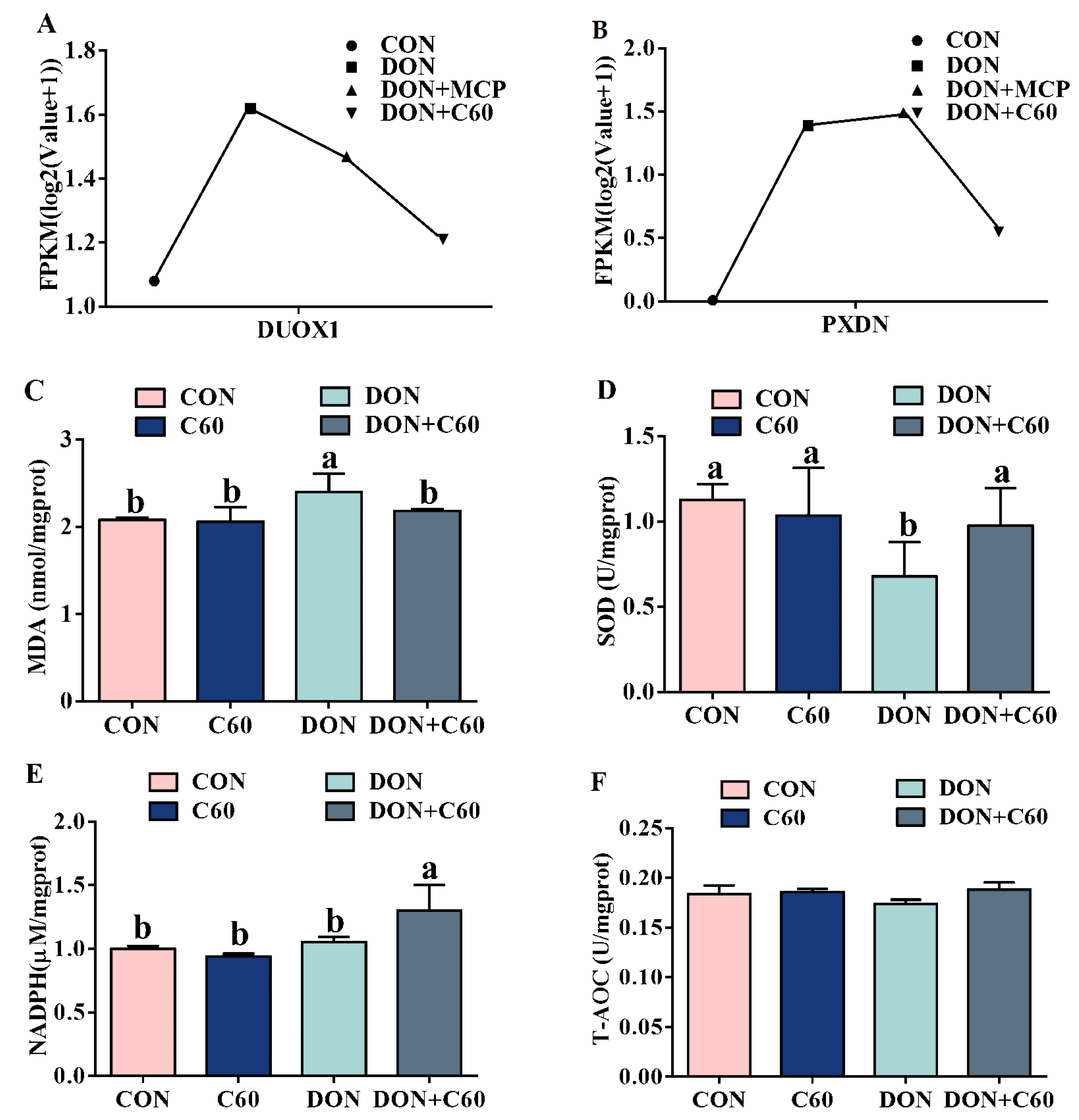 Life 11 00491 g002 Life 11 00491 g002