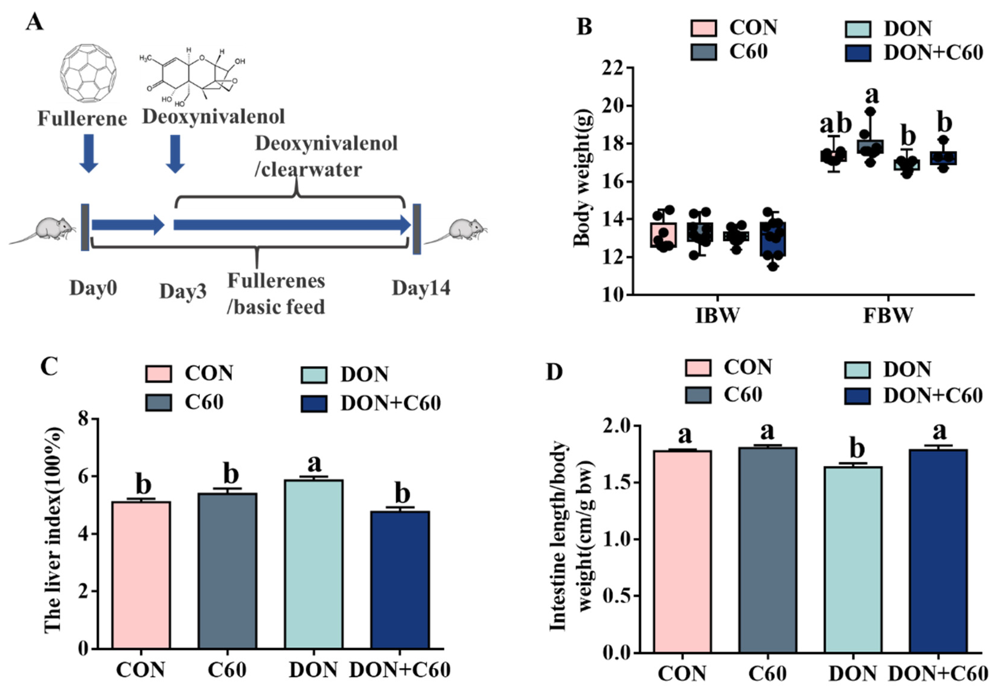 Life 11 00491 g003 Life 11 00491 g003