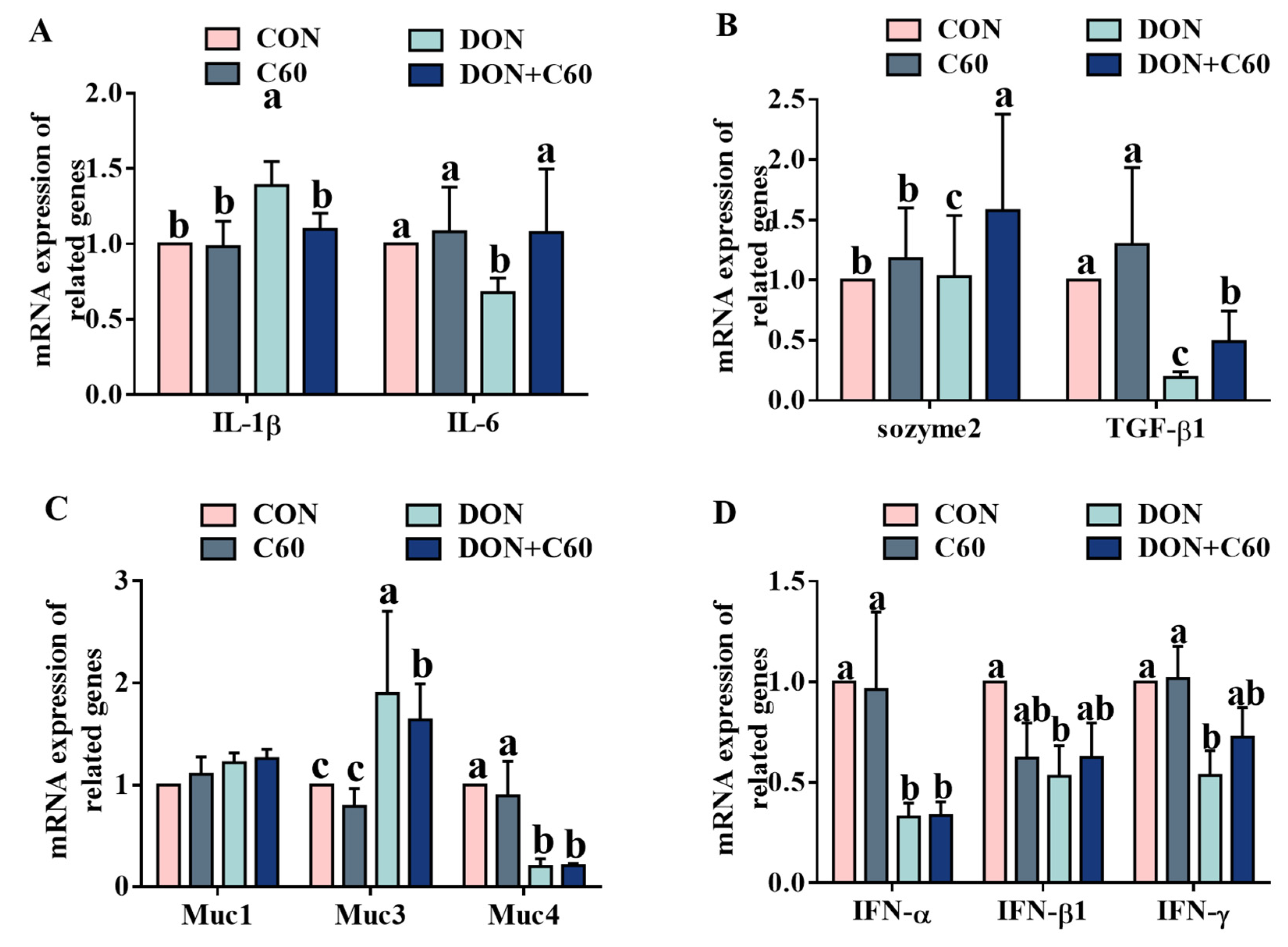 Life 11 00491 g005 Life 11 00491 g005