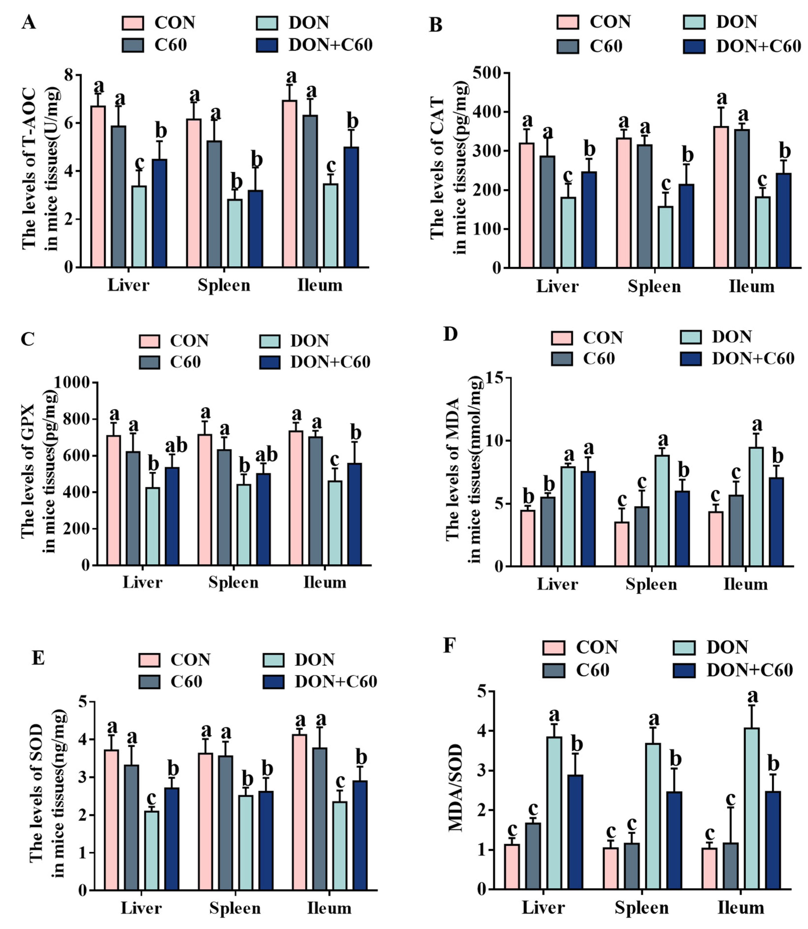 Life 11 00491 g006 Life 11 00491 g006
