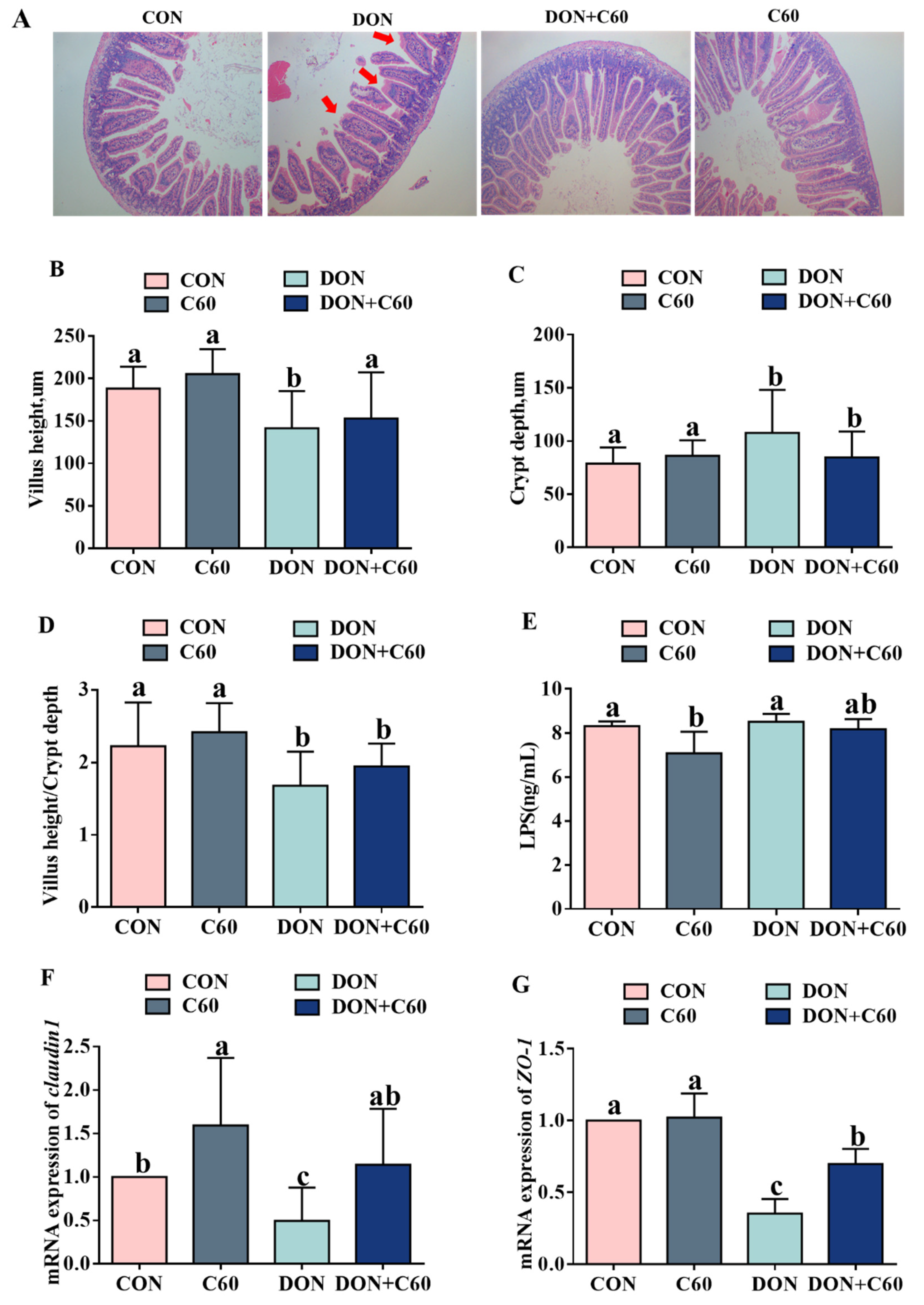 Life 11 00491 g007 Life 11 00491 g007