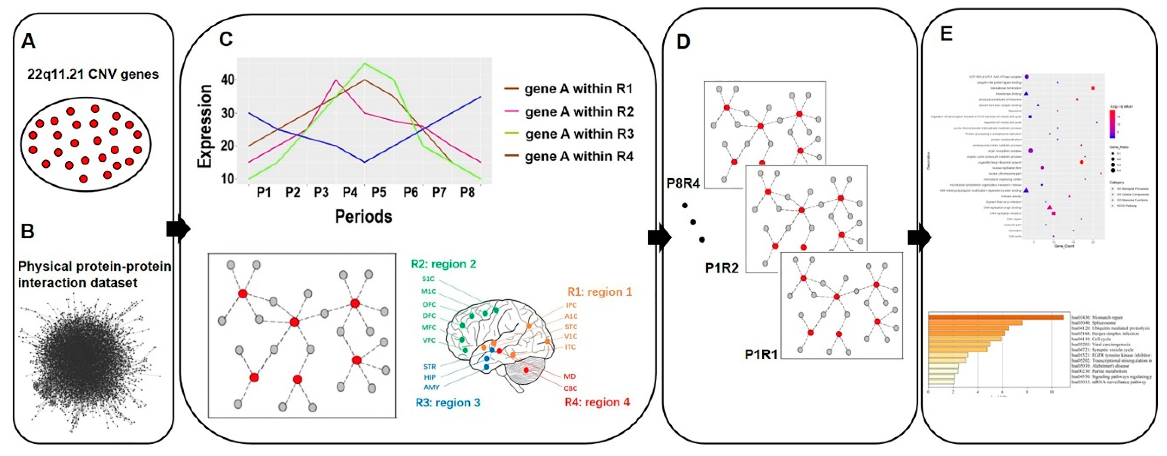 Life 11 00514 g001 Life 11 00514 g001
