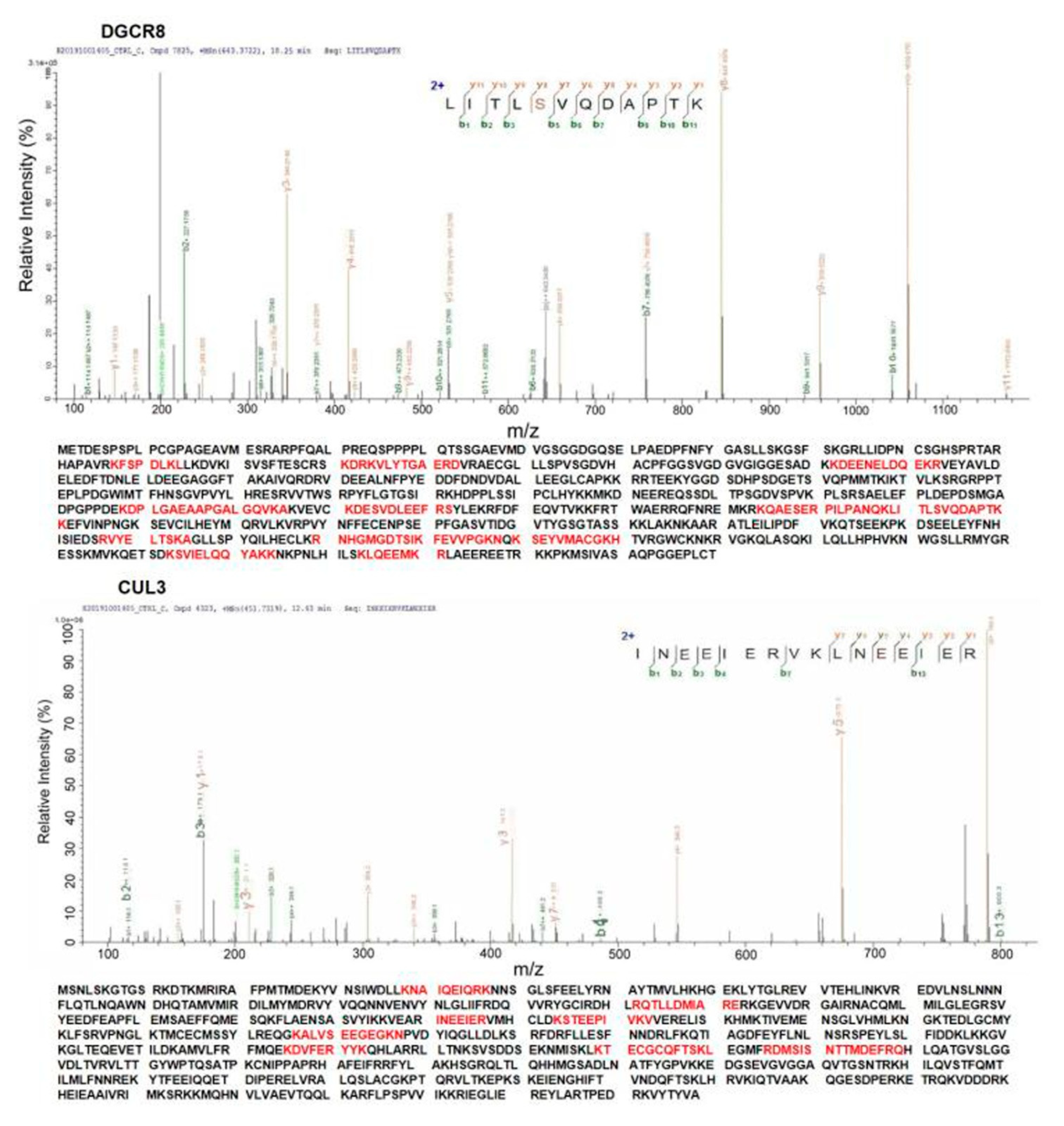 Life 11 00514 g006 Life 11 00514 g006