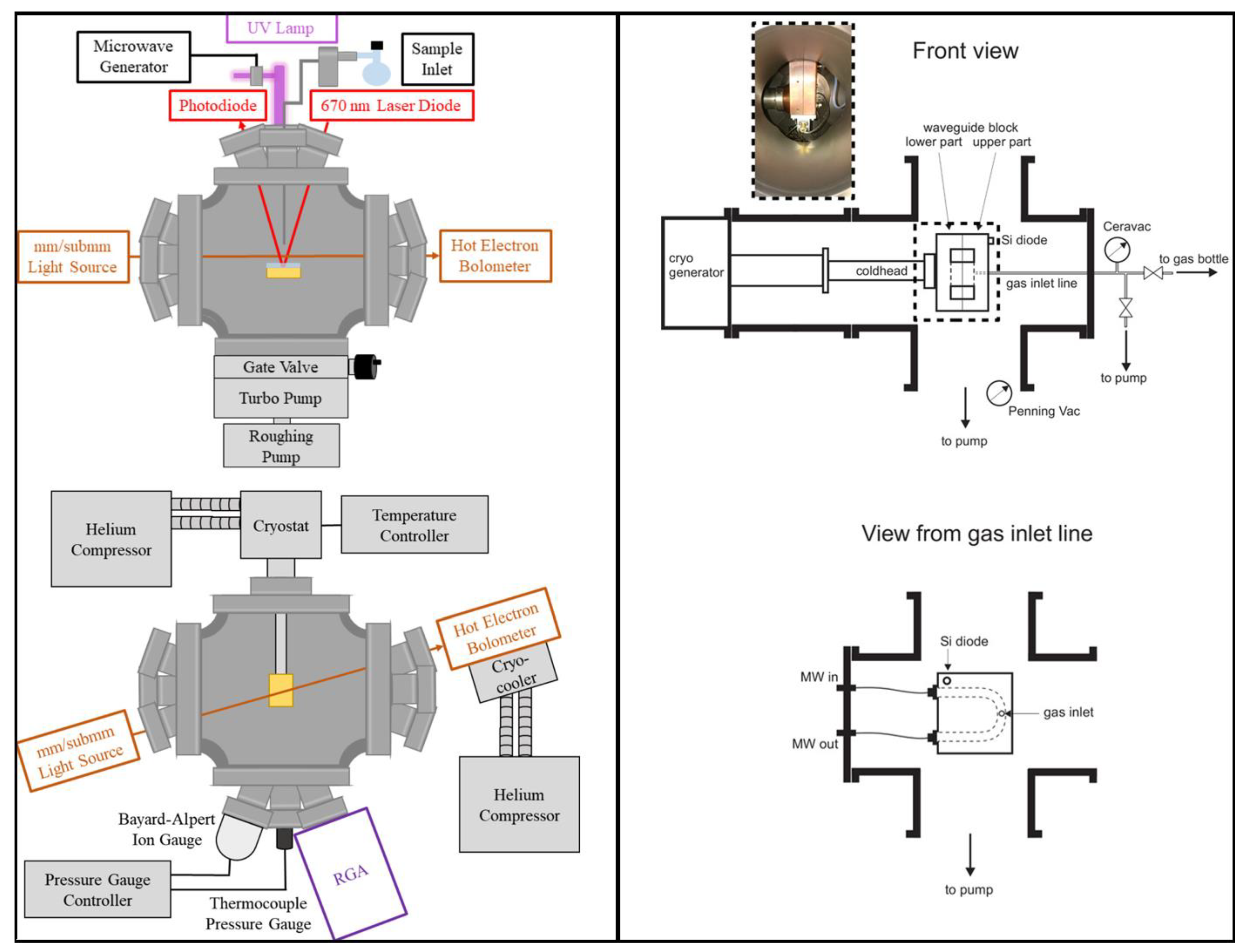 Life 11 00568 g006 Life 11 00568 g006