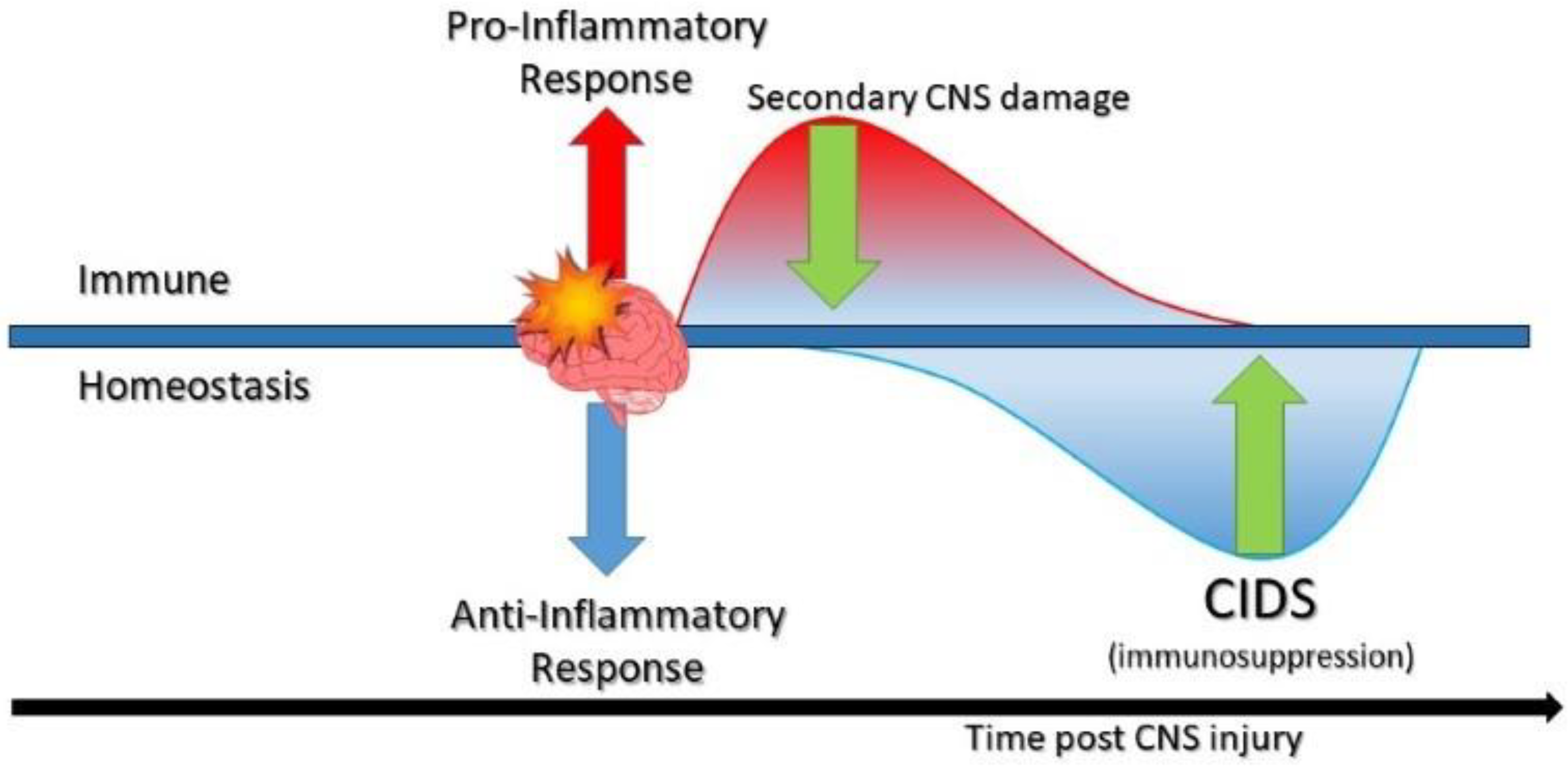 Life 11 00576 g001 Life 11 00576 g001