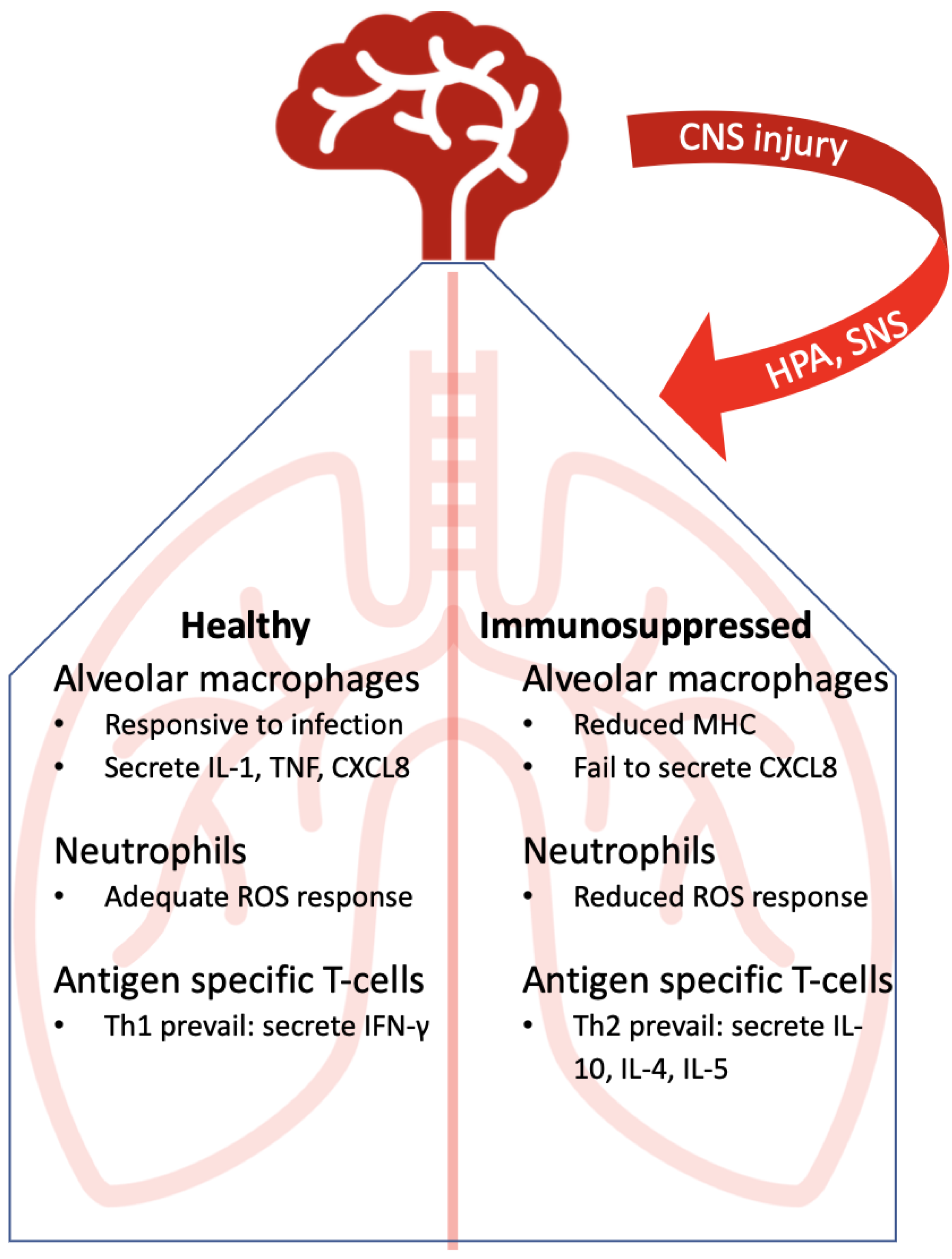Life 11 00576 g002 Life 11 00576 g002
