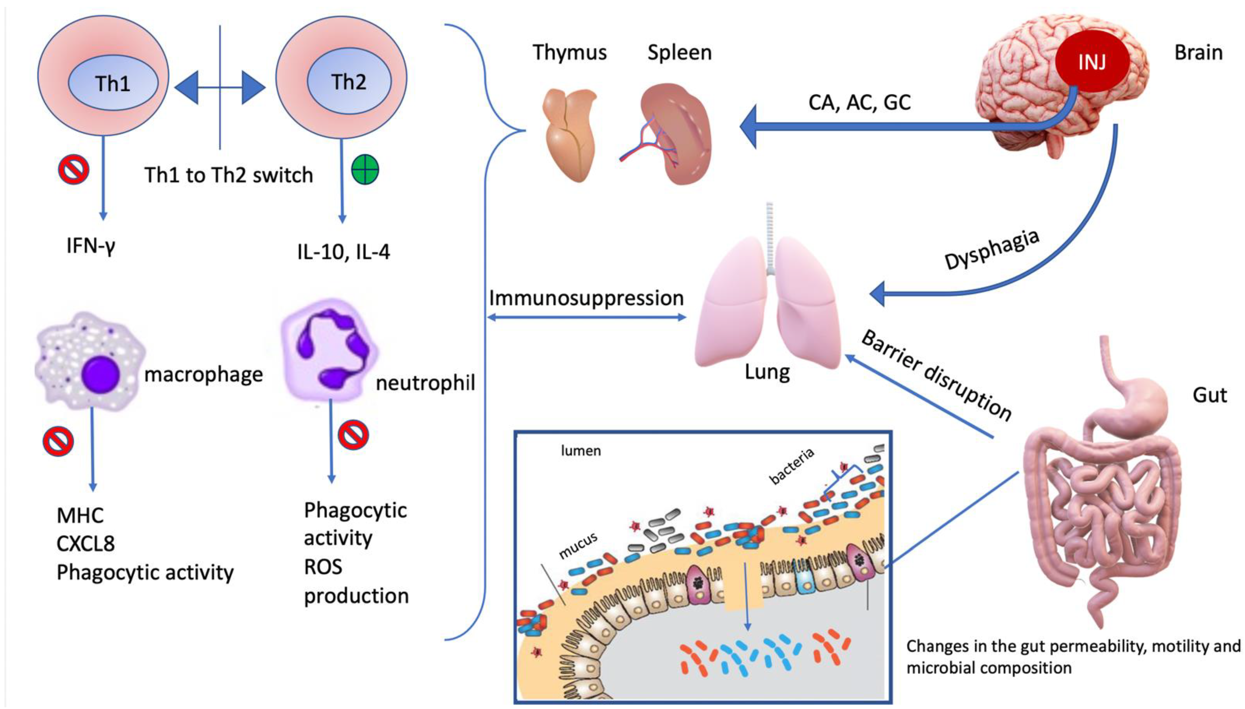Life 11 00576 g003 Life 11 00576 g003