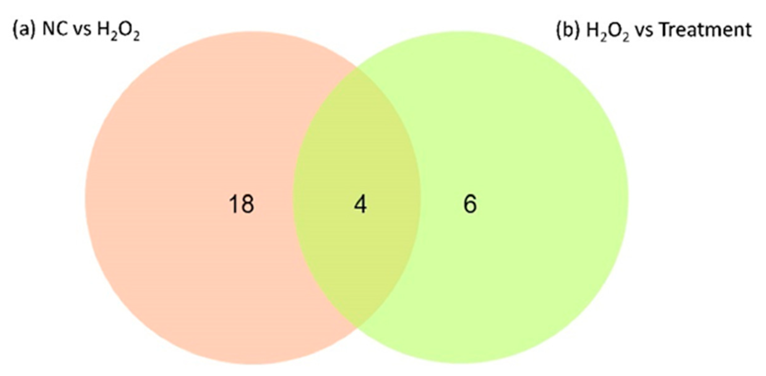 Life 11 00585 g006 Life 11 00585 g006