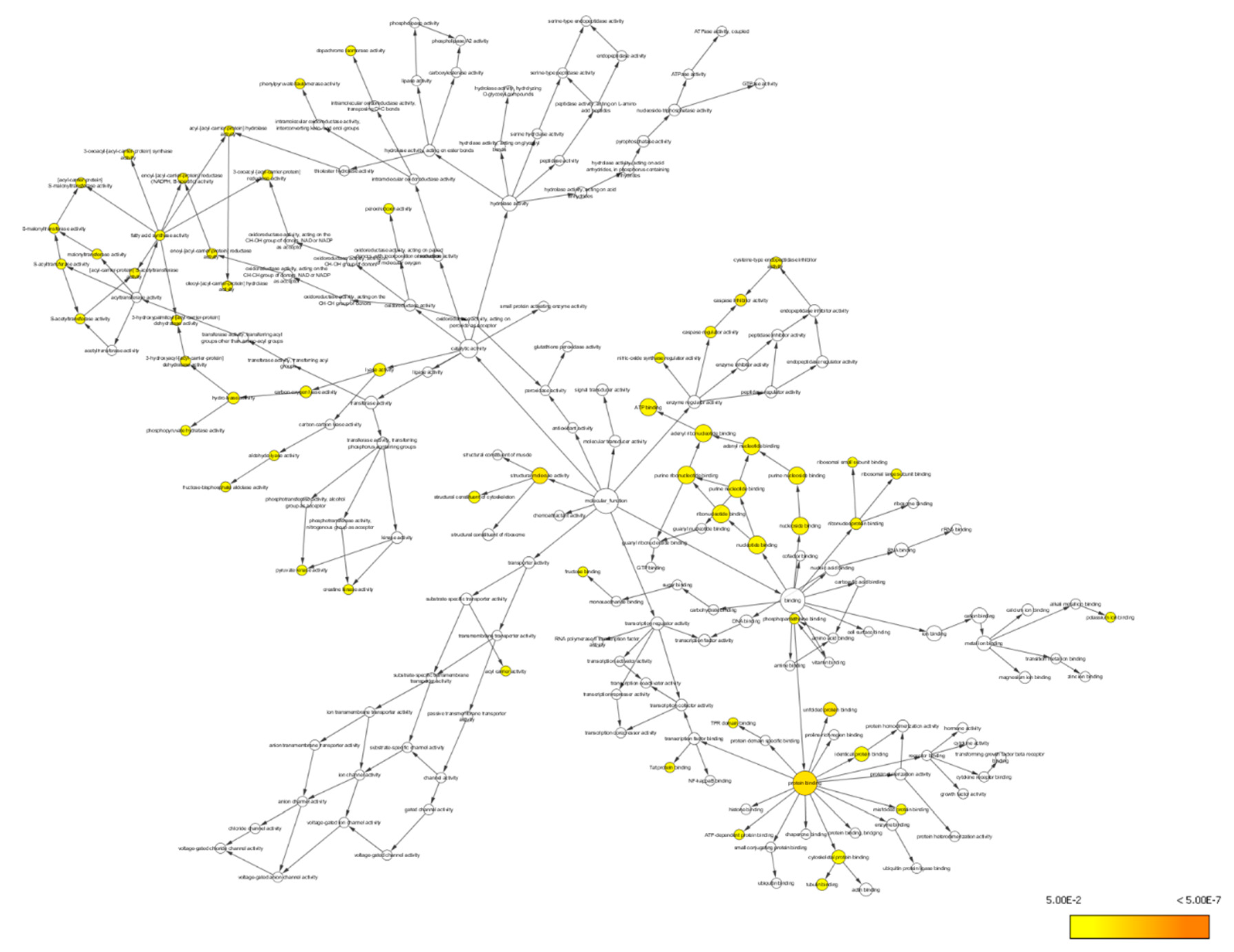 Life 11 00585 g008 Life 11 00585 g008