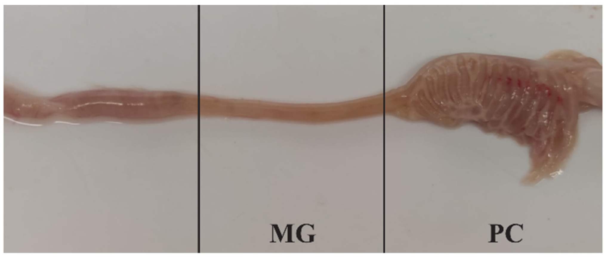 Life 11 00667 g002 Life 11 00667 g002