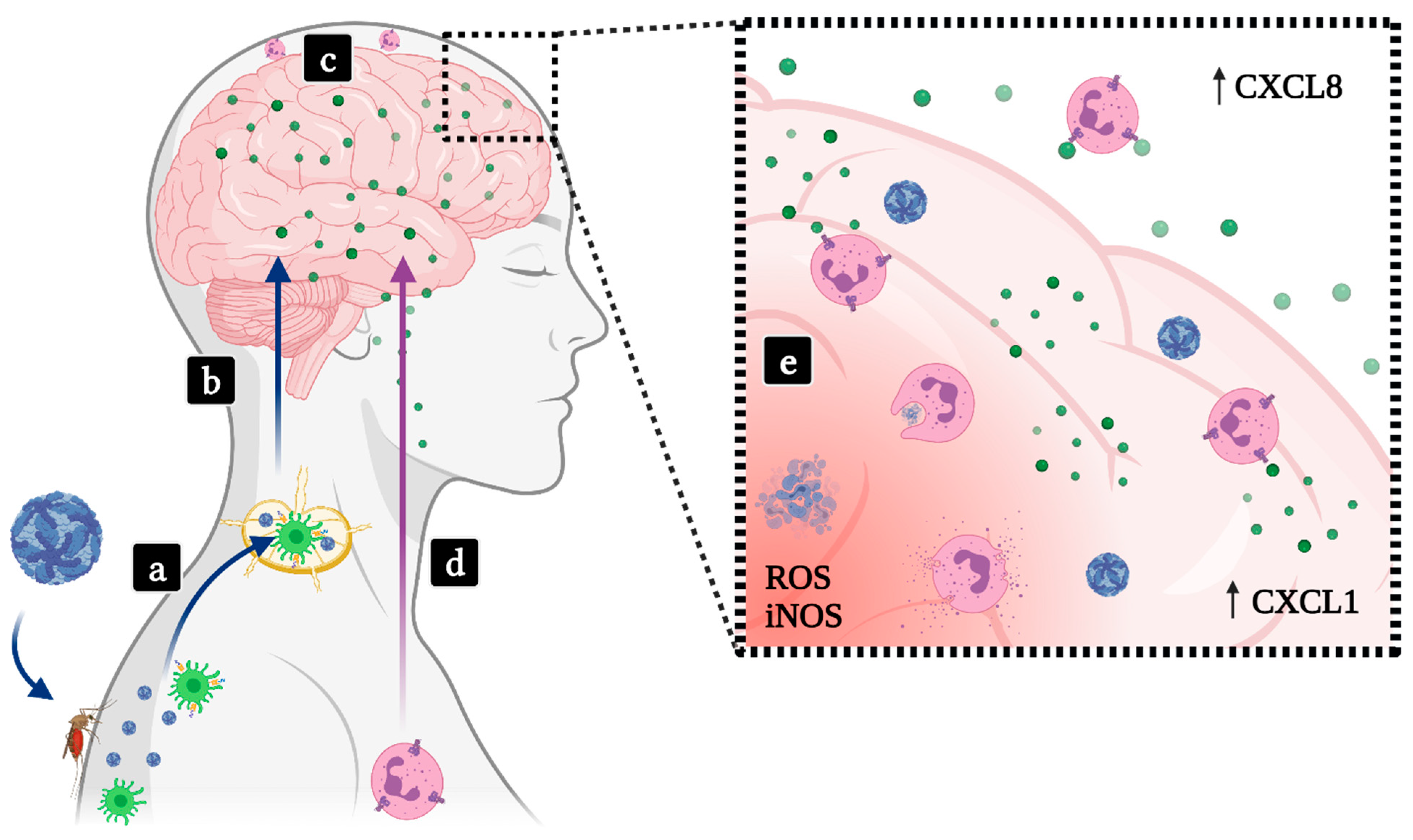 Life 11 00717 g002 Life 11 00717 g002