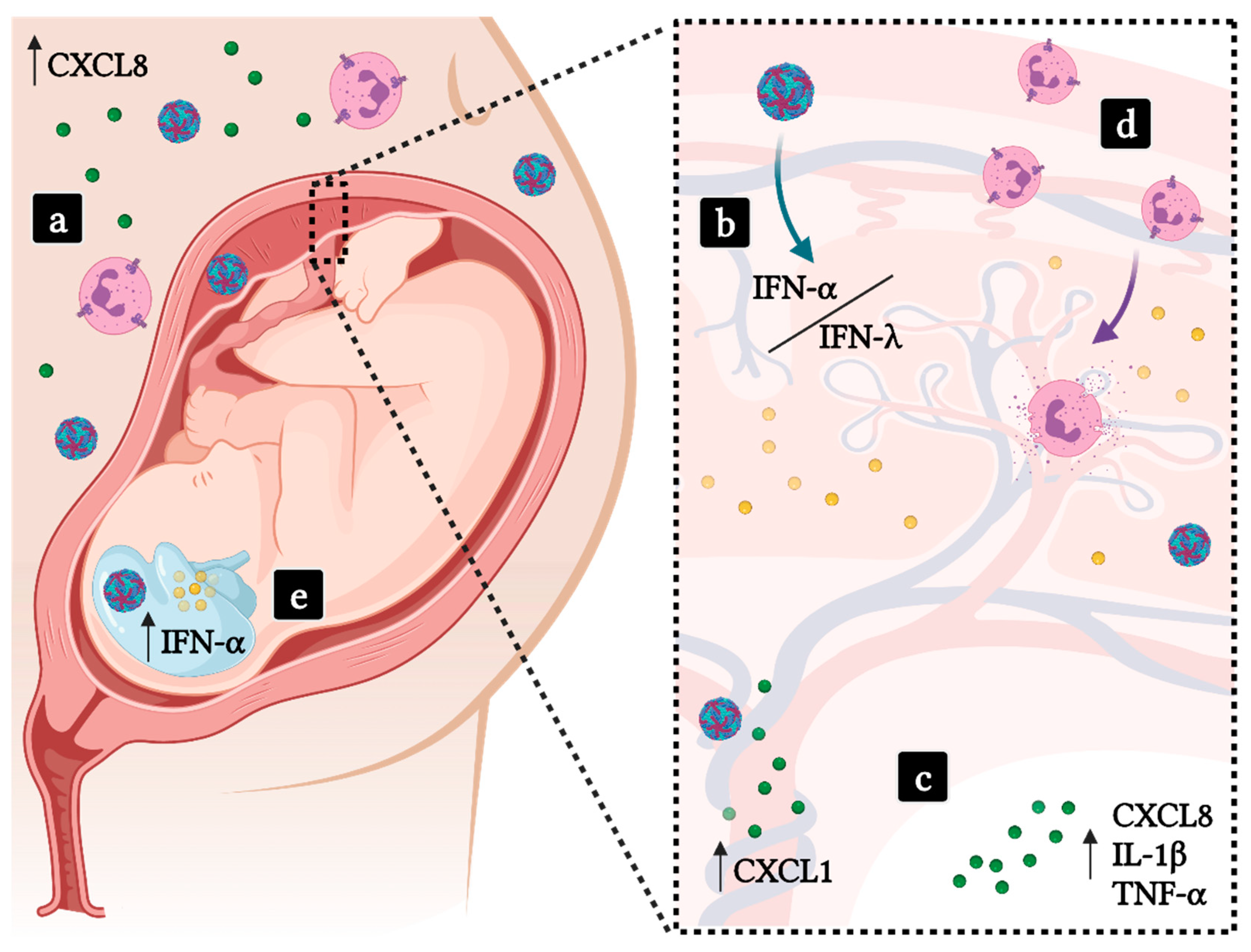 Life 11 00717 g003 Life 11 00717 g003