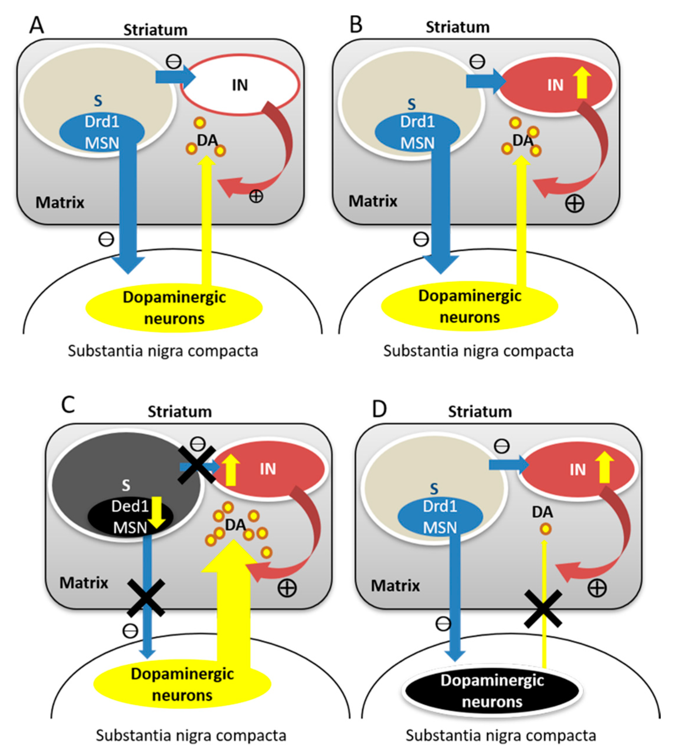 Life 11 00776 g002 Life 11 00776 g002