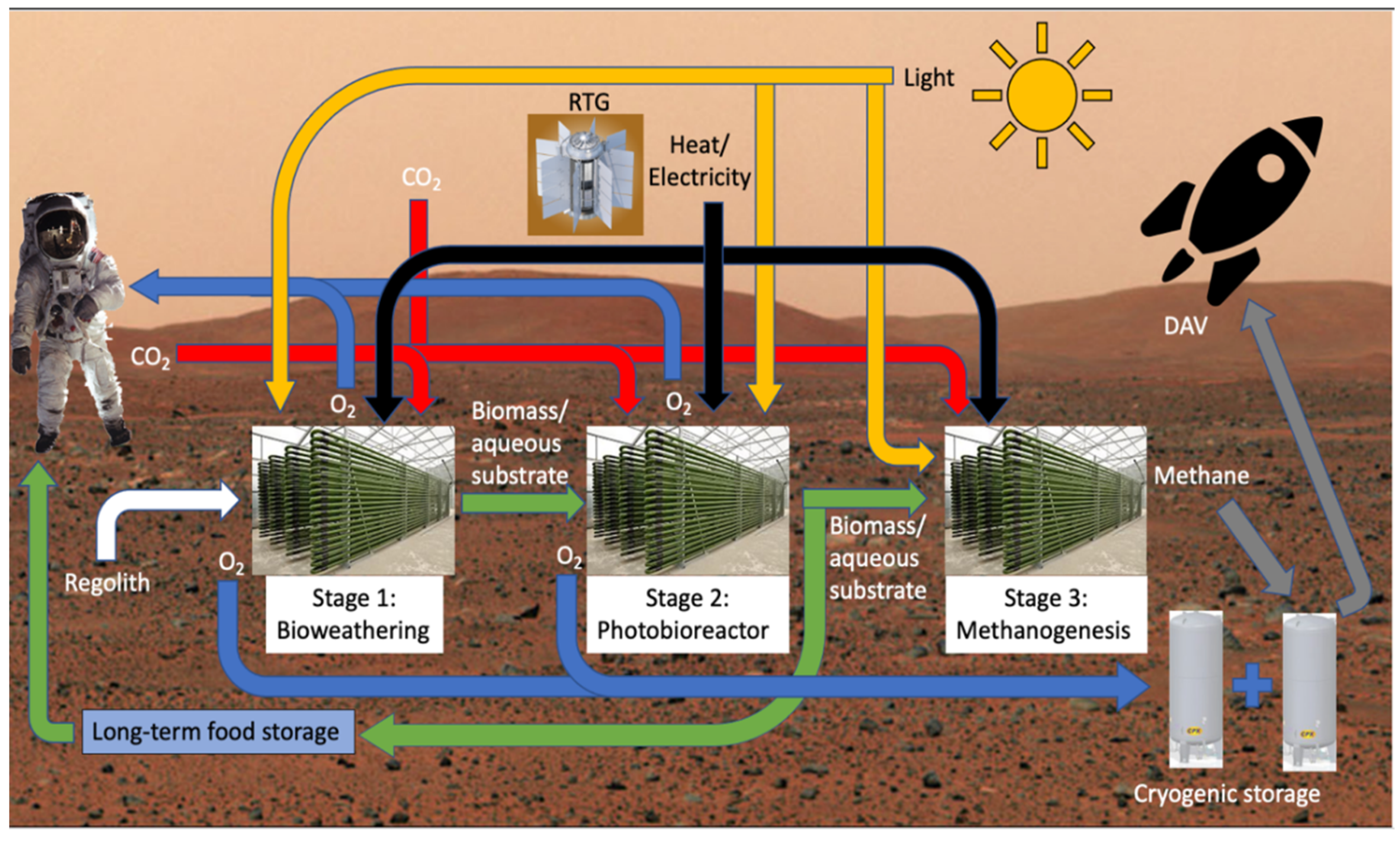 Life 11 00844 g006 Life 11 00844 g006