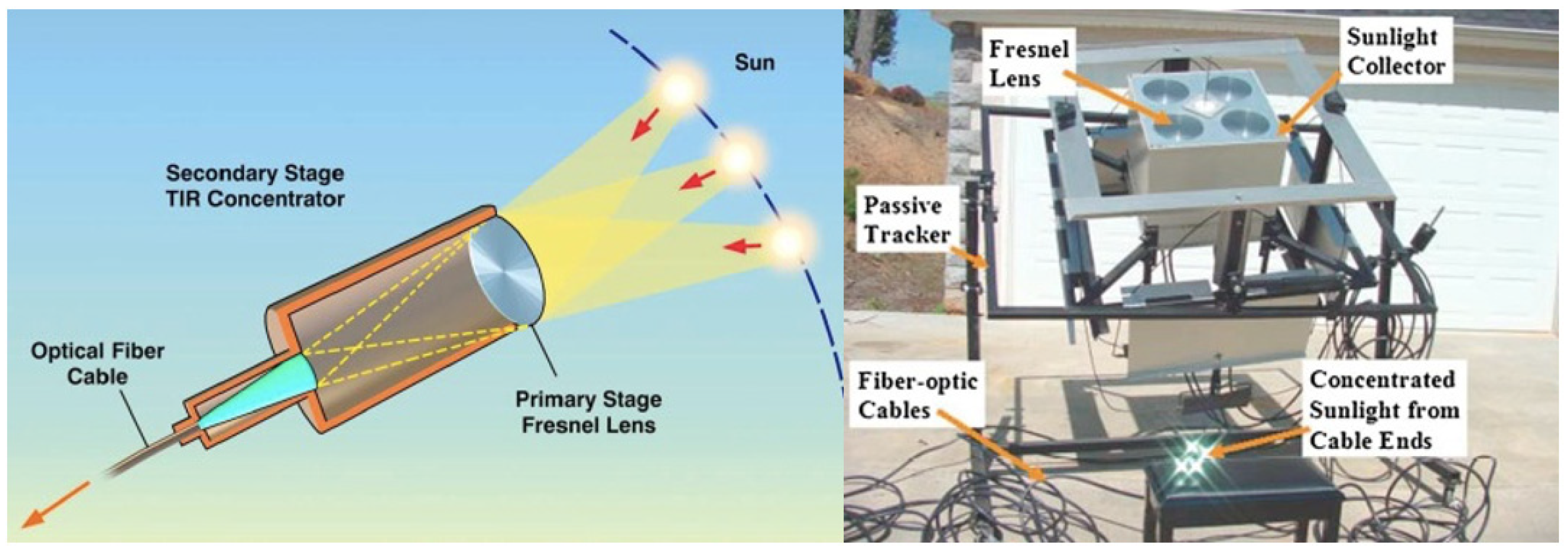 Life 11 00844 g007 Life 11 00844 g007