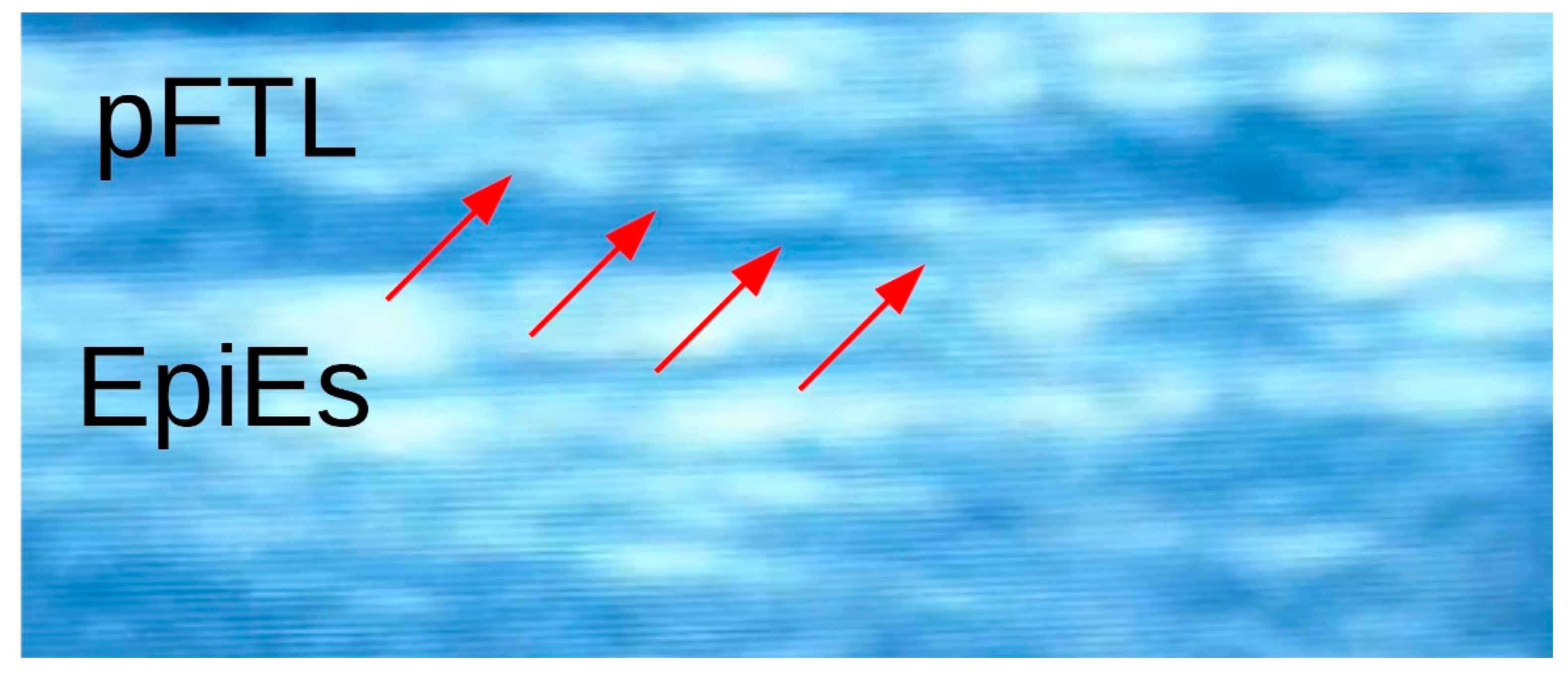 Life 11 00845 g004 Life 11 00845 g004