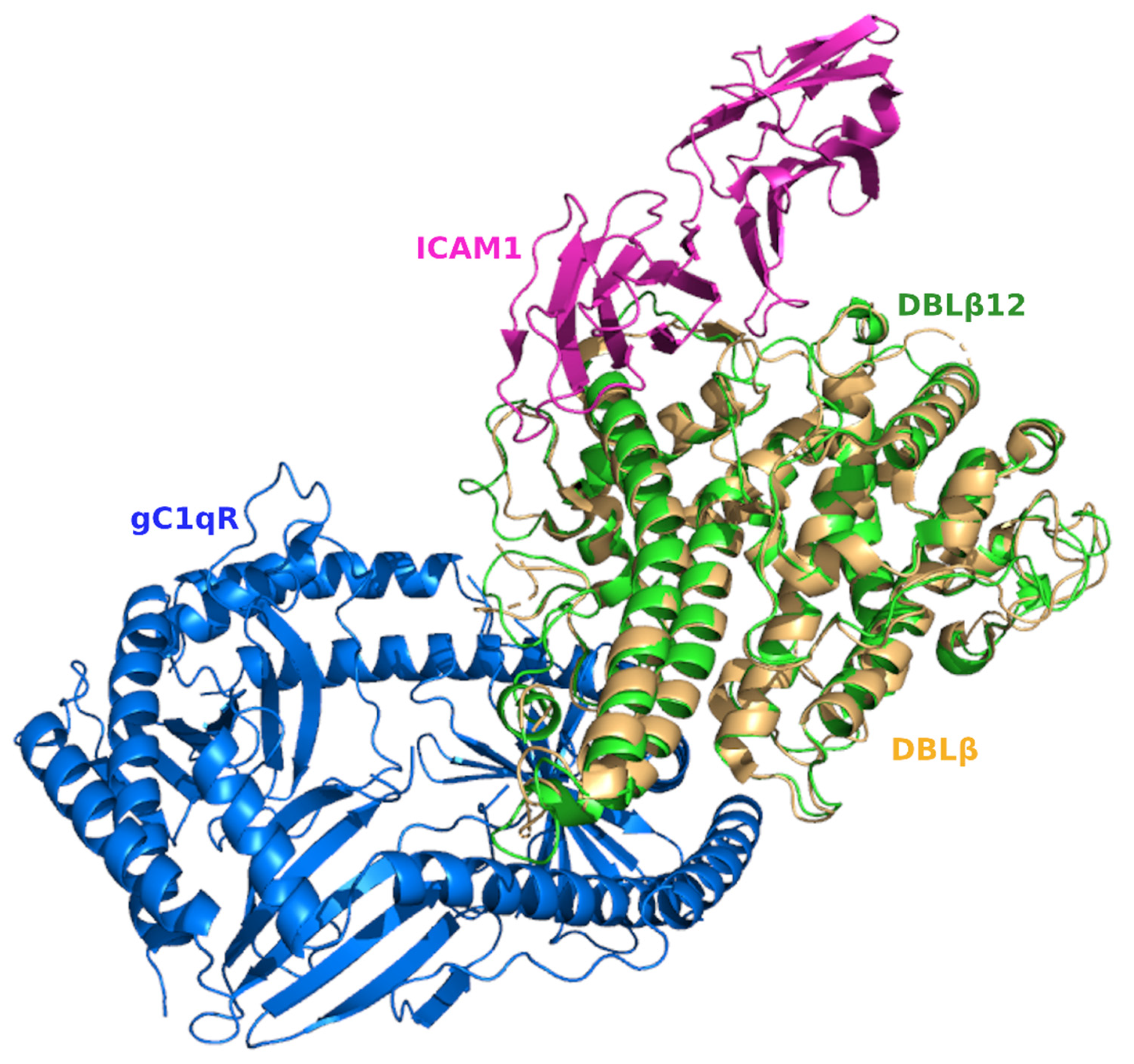 Life 11 00993 g005 Life 11 00993 g005