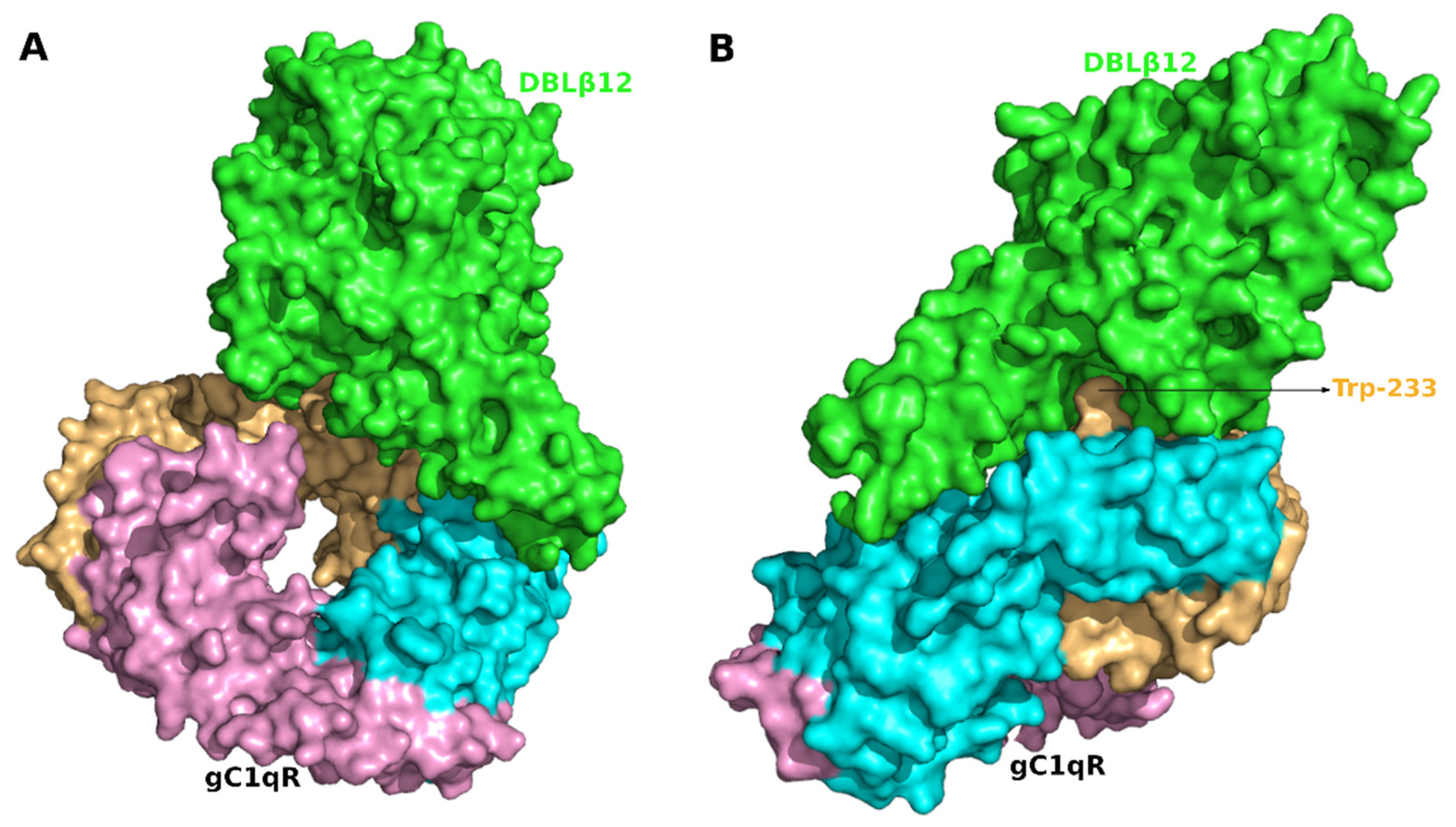 Life 11 00993 g0a1 Life 11 00993 g0a1