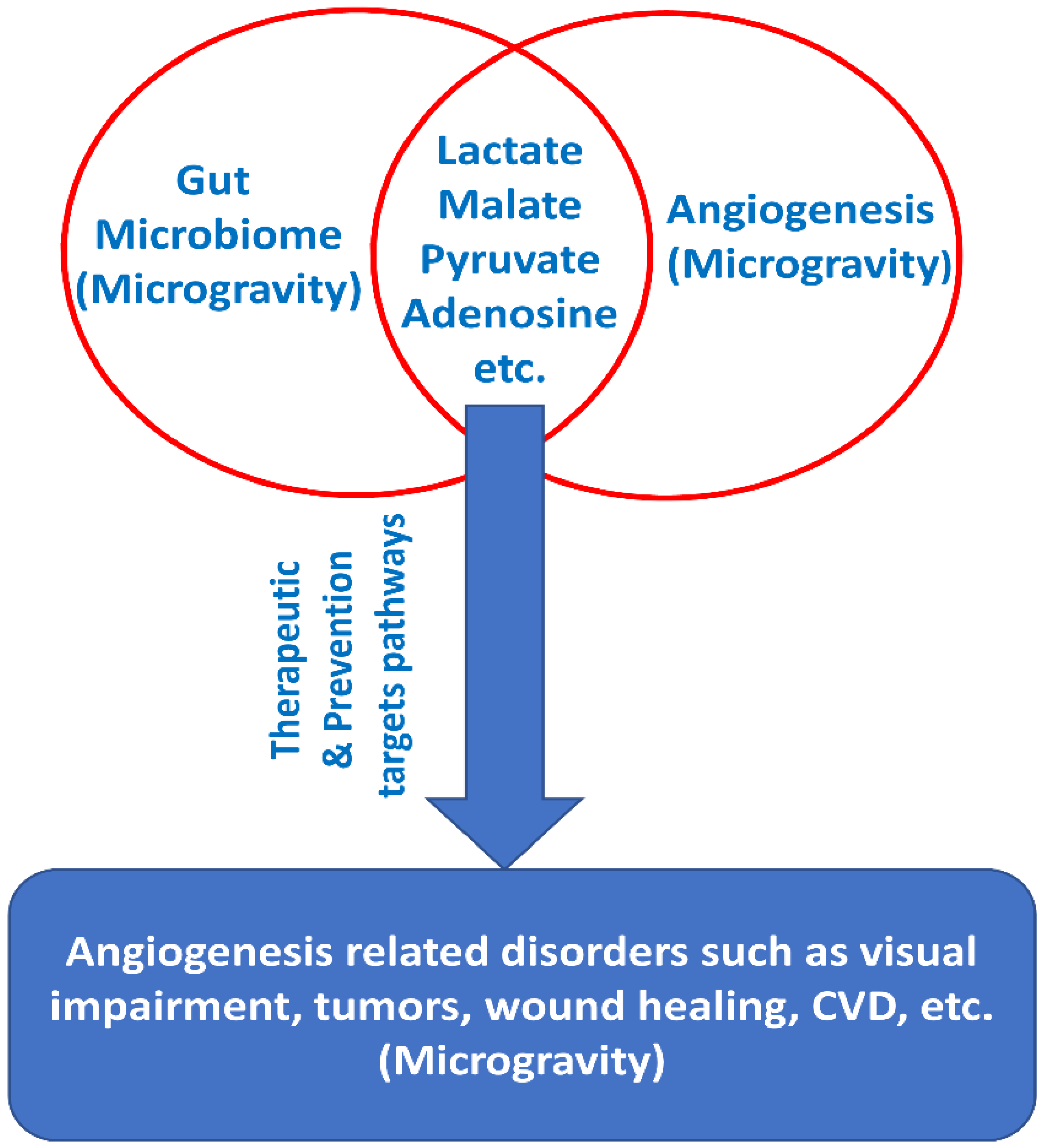 Life 11 01008 g002 Life 11 01008 g002