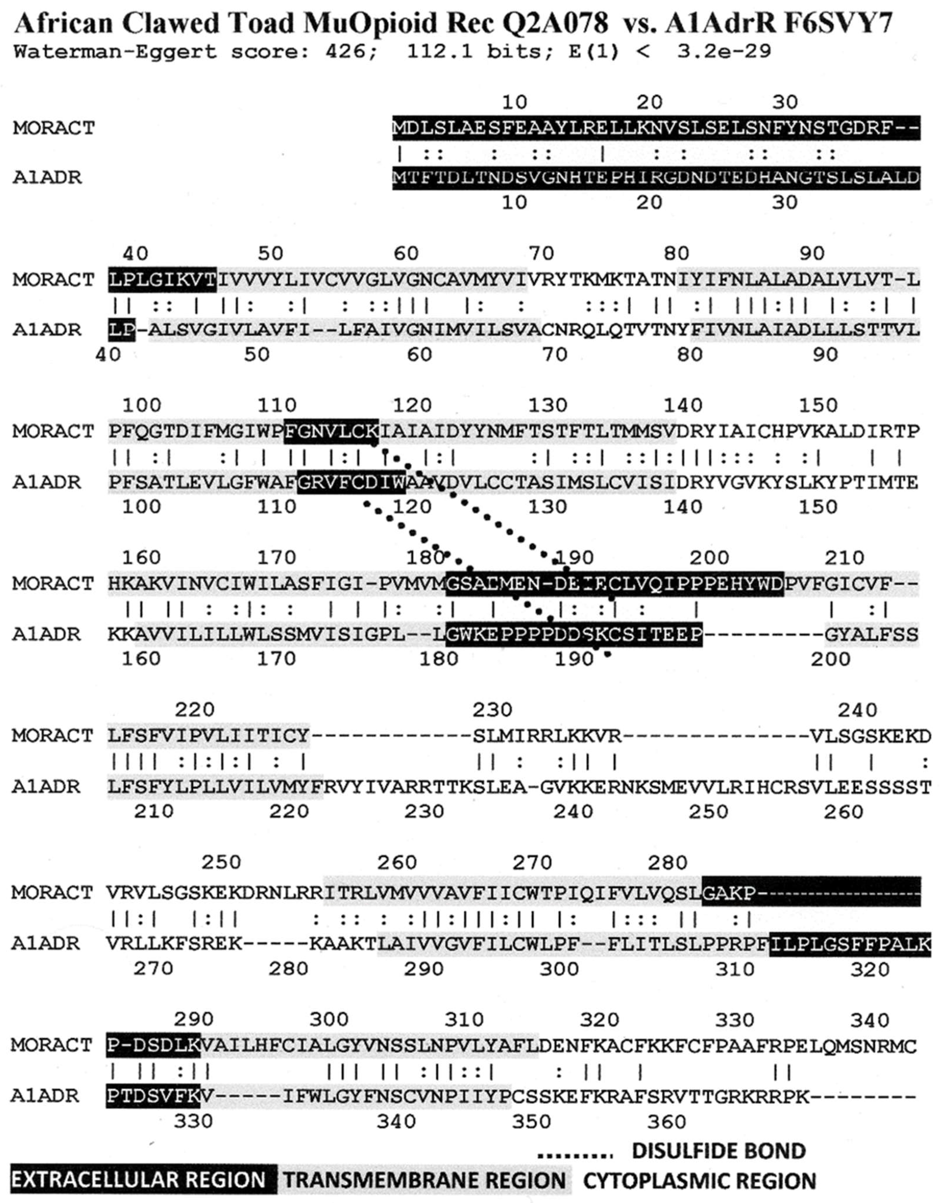 Life 11 01217 g007 Life 11 01217 g007