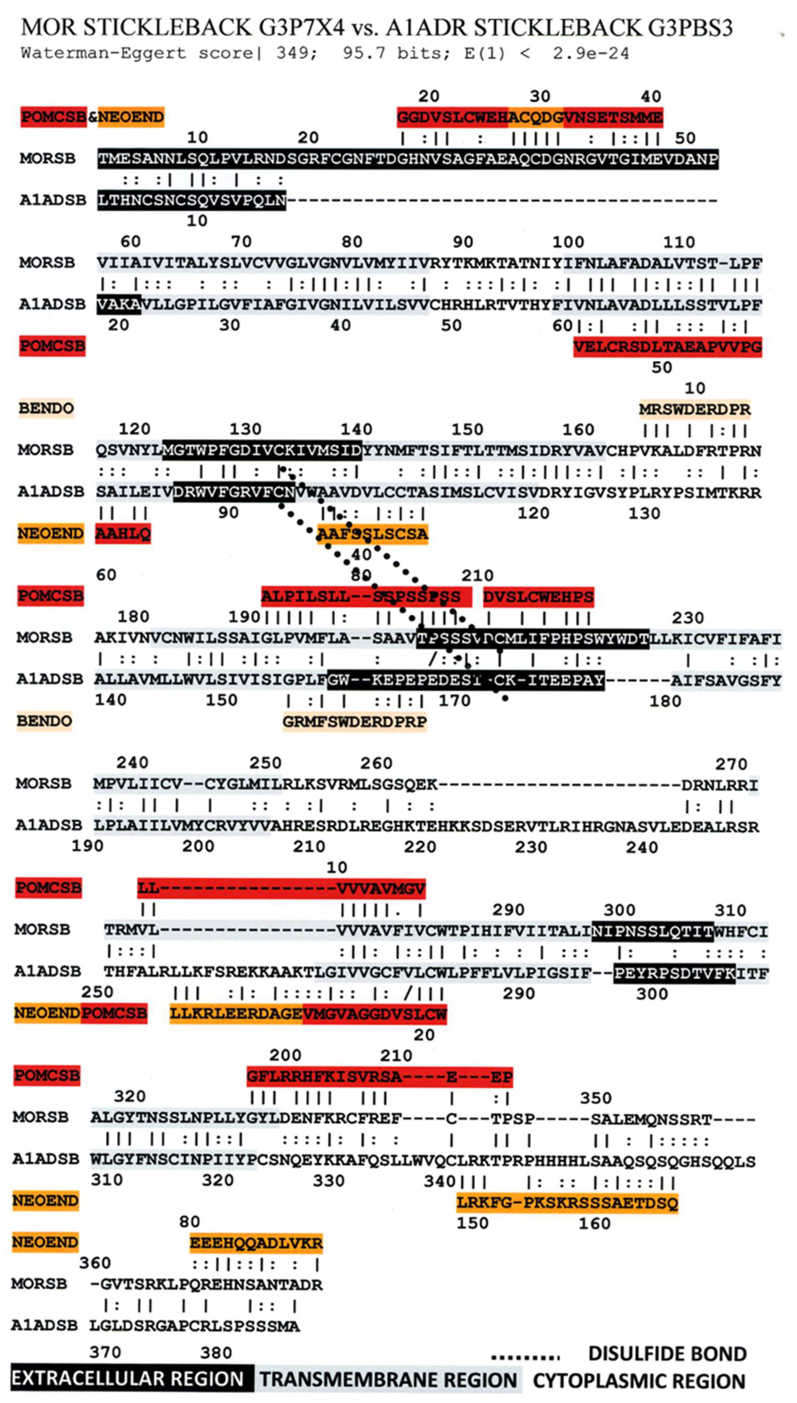 Life 11 01217 g016 Life 11 01217 g016