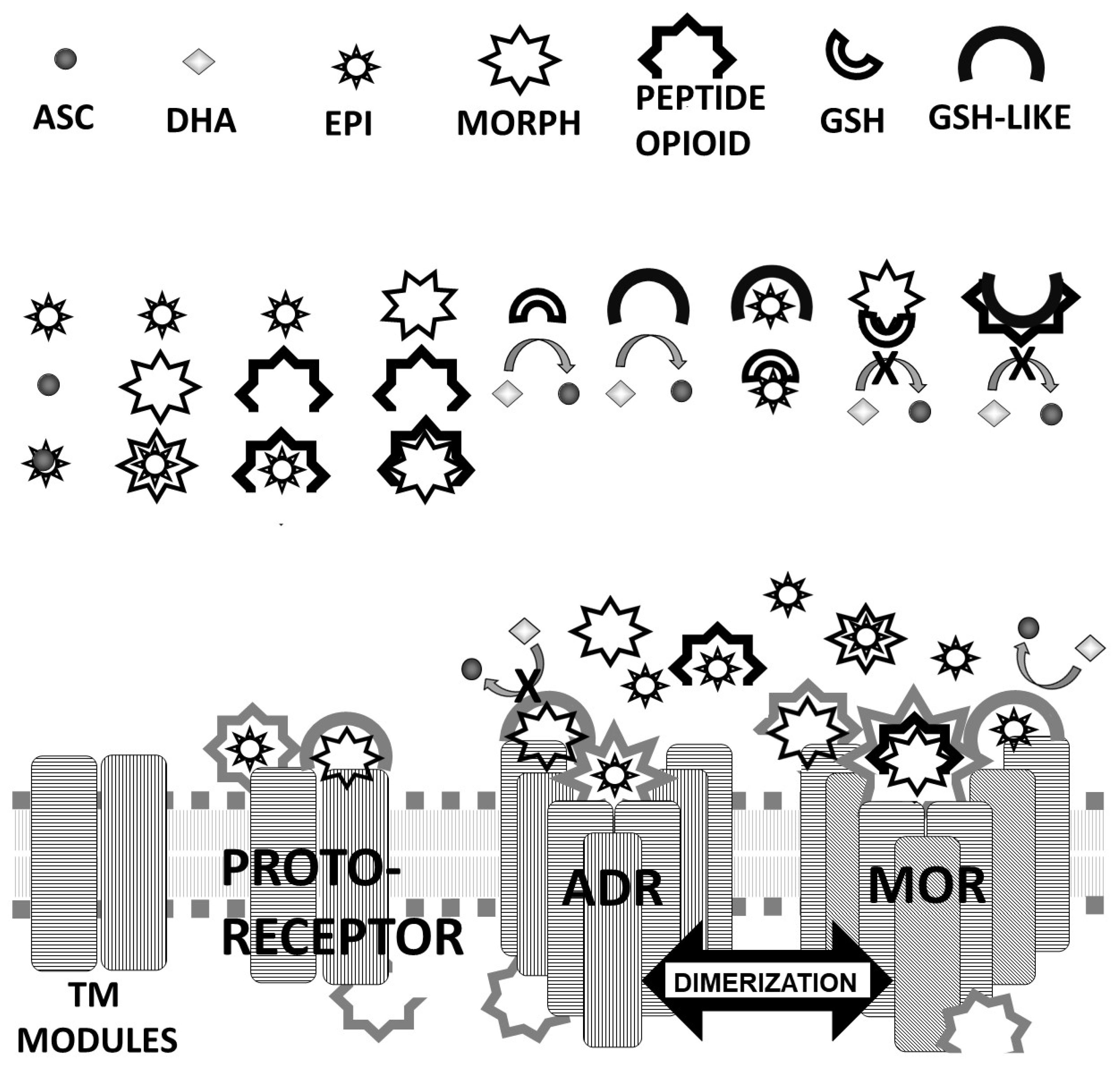 Life 11 01217 g020 Life 11 01217 g020