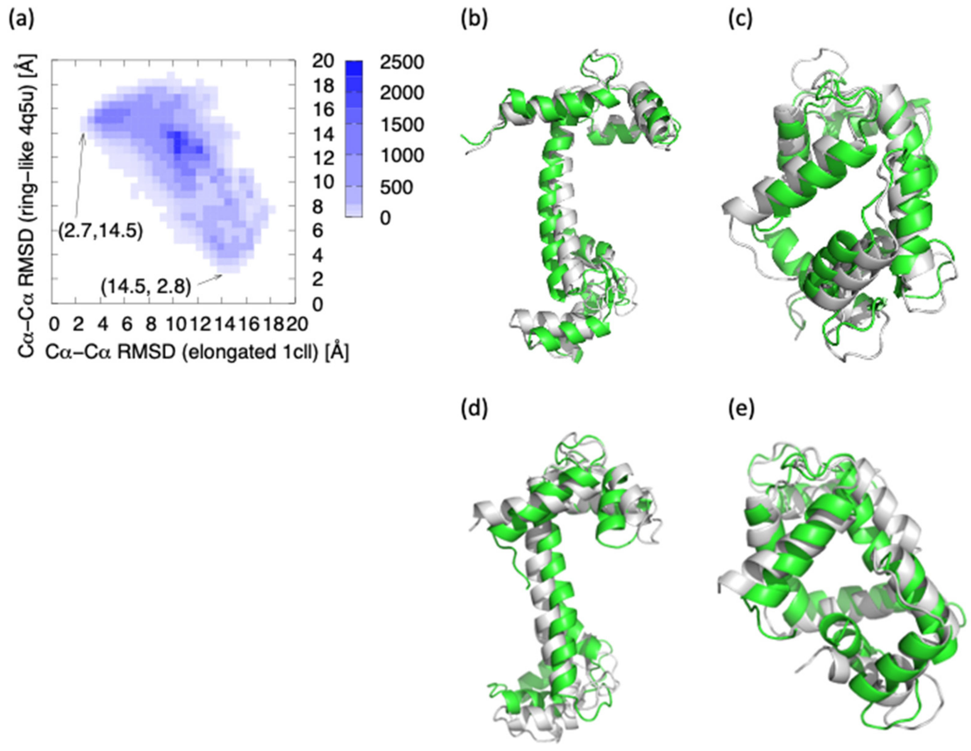 Dynamics and Calcium Association to the N-Terminal Regulatory Domain of  Human Cardiac Troponin C: A Multiscale Computational Study