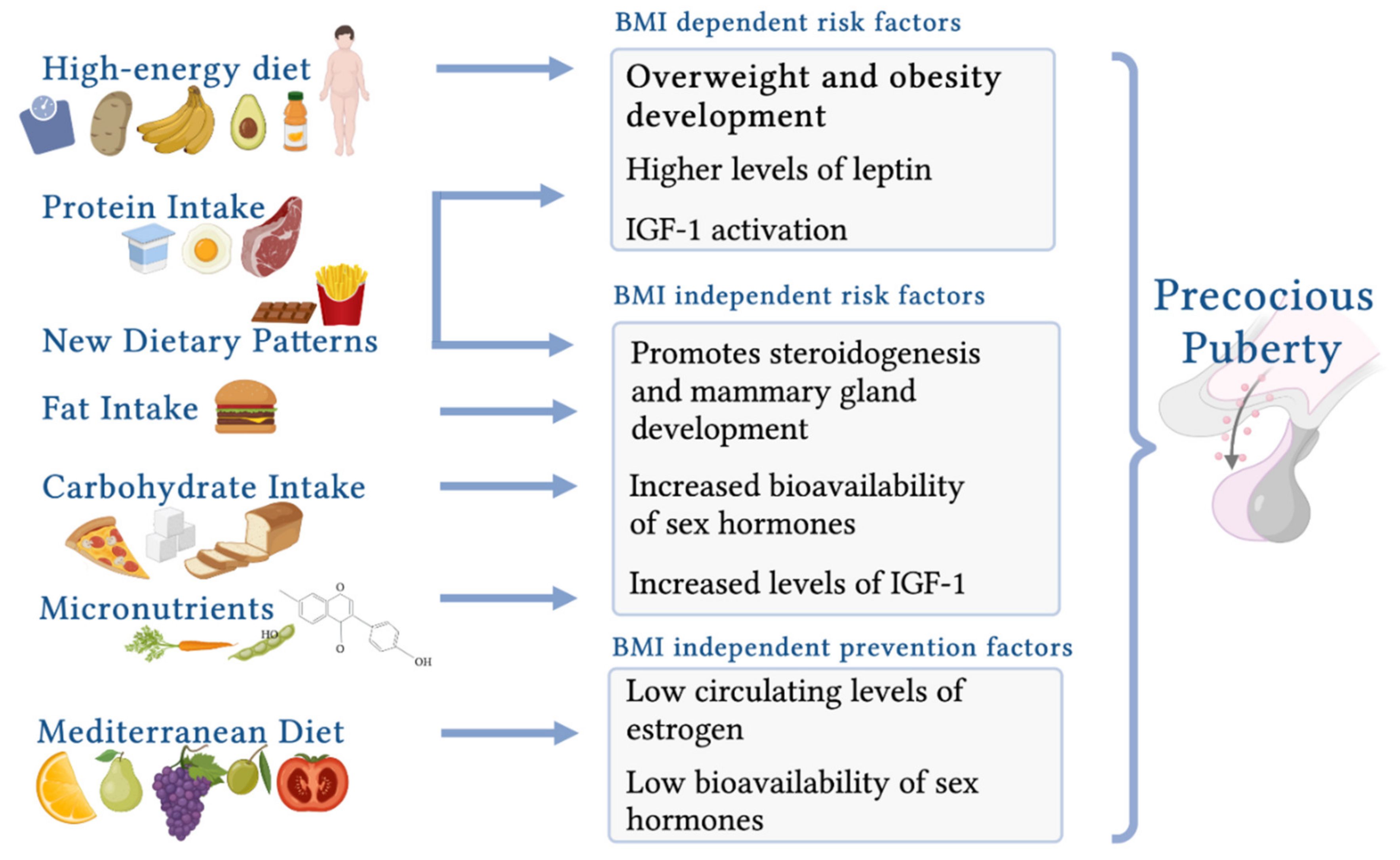 Hormonal factors and prevention