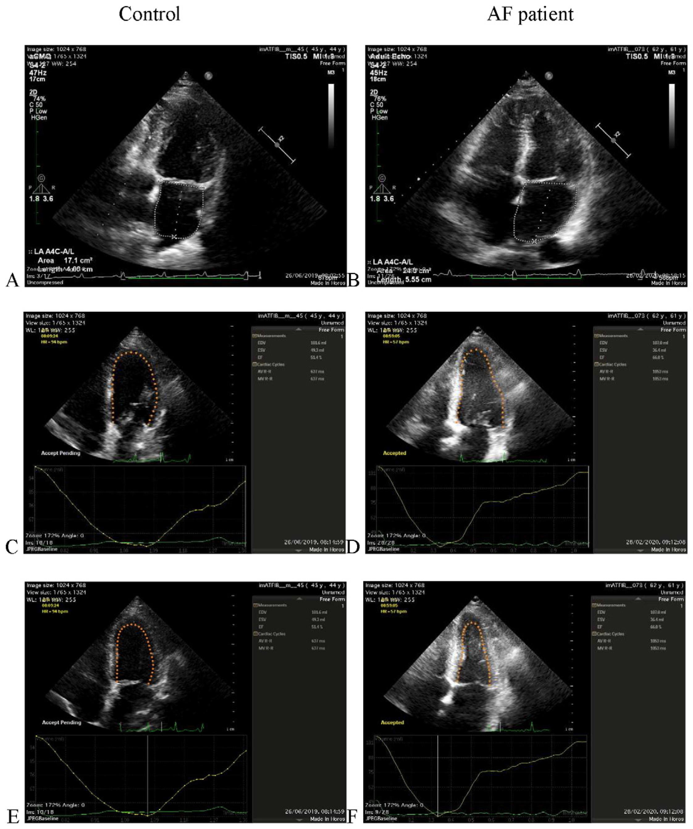 Life 11 01362 g002 Life 11 01362 g002