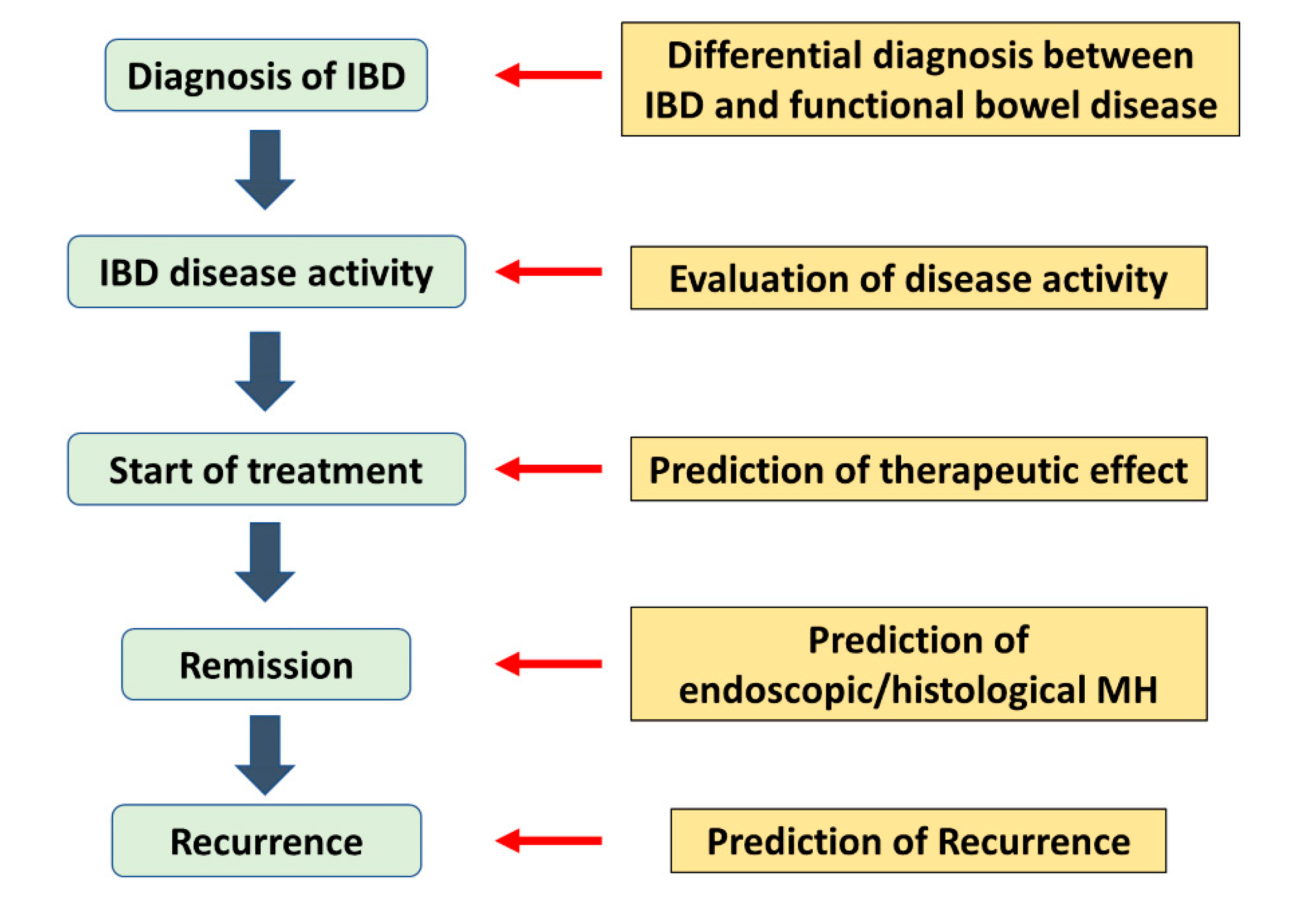 Life | Free Full-Text | Role of Biomarkers in the Diagnosis and Treatment  of Inflammatory Bowel Disease