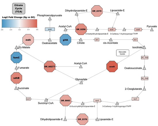 Molecular repertoire of Deinococcus radiodurans after 1 year of