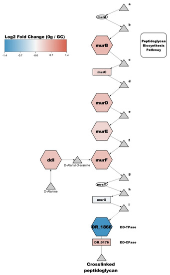 Frontiers  Proteomic and Metabolomic Profiling of Deinococcus