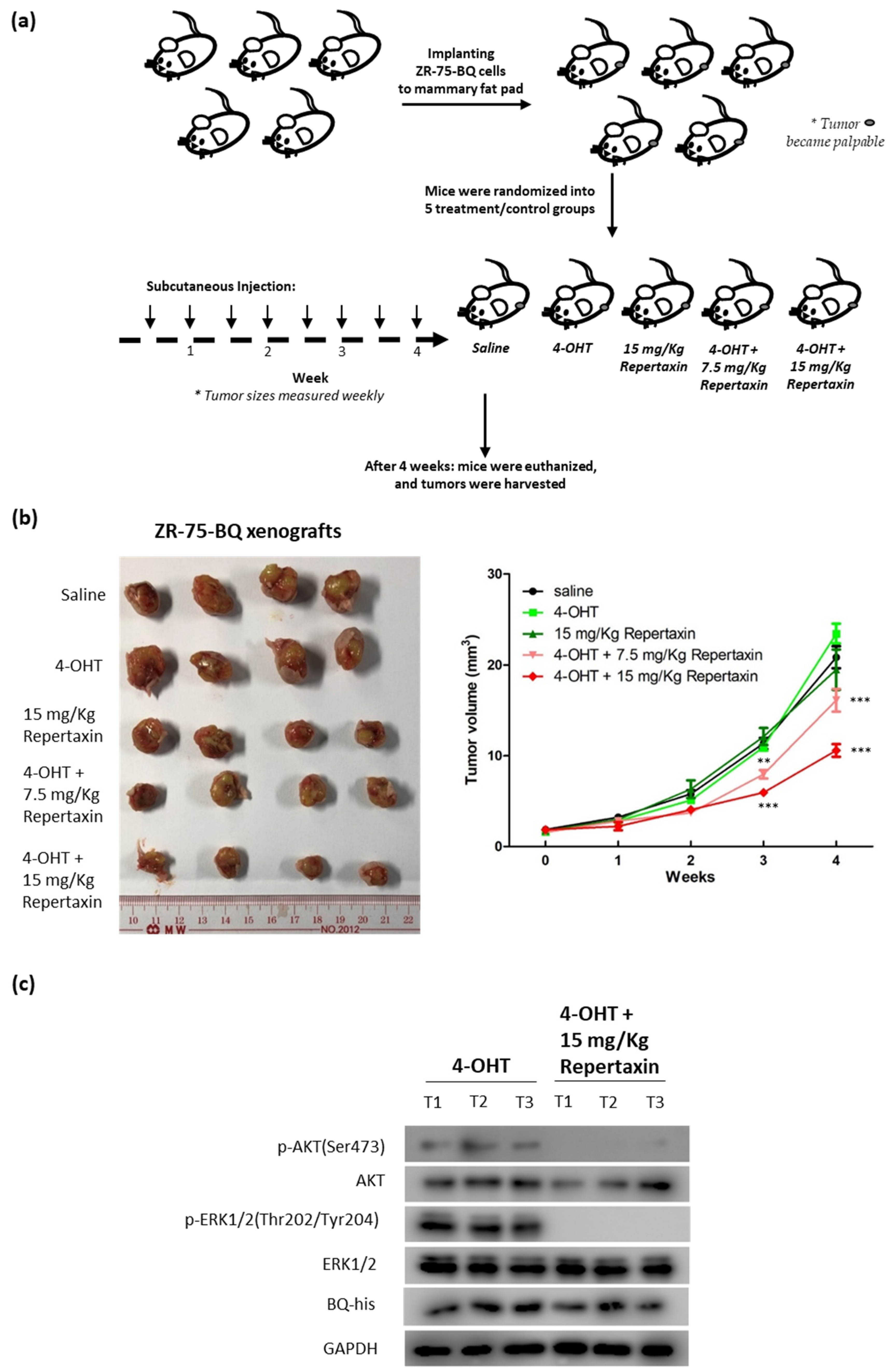 Life 12 00093 g007 Life 12 00093 g007