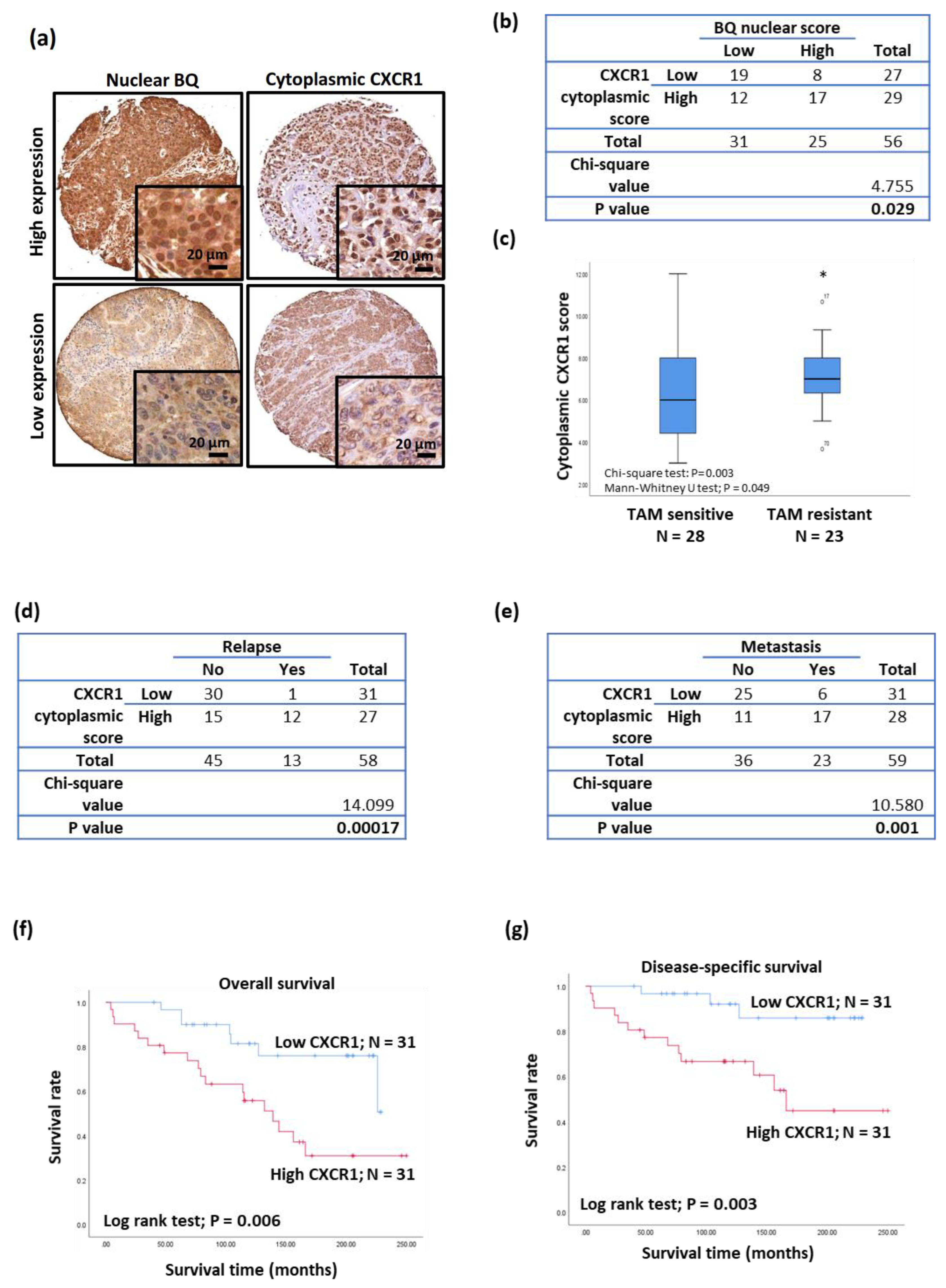 Life 12 00093 g008 Life 12 00093 g008