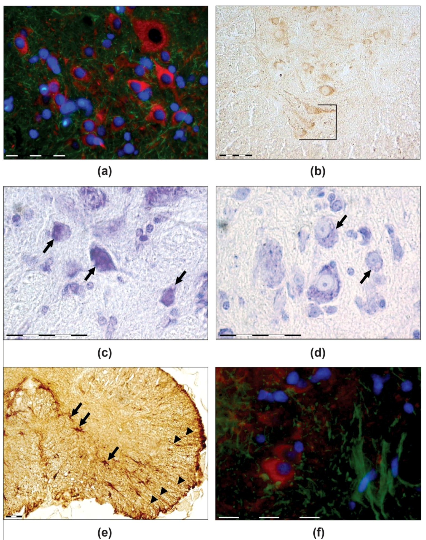 Life 12 00100 g004 Life 12 00100 g004