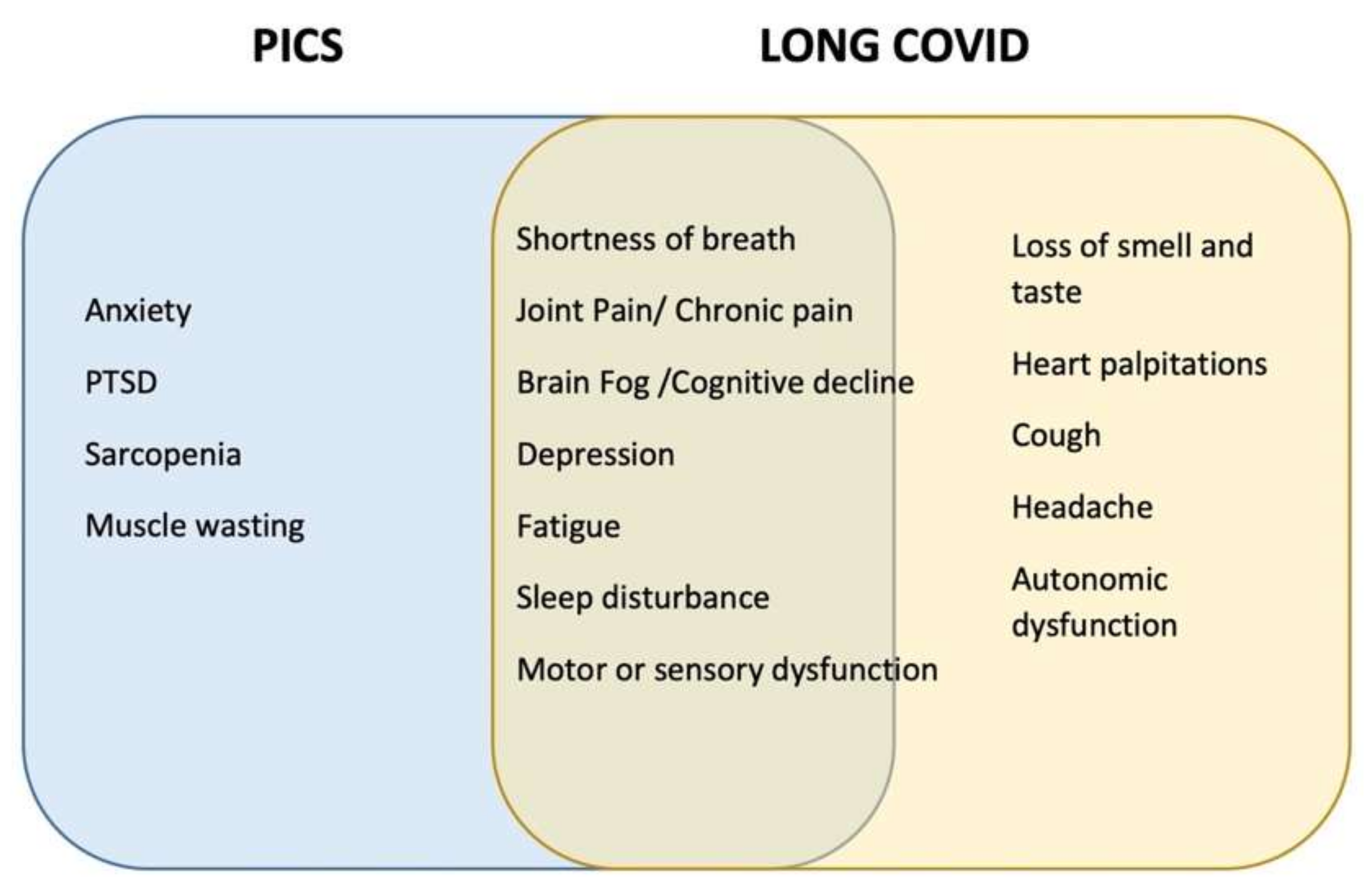 Life Free Full Text Post Intensive Care Syndrome In Survivors From Critical Illness