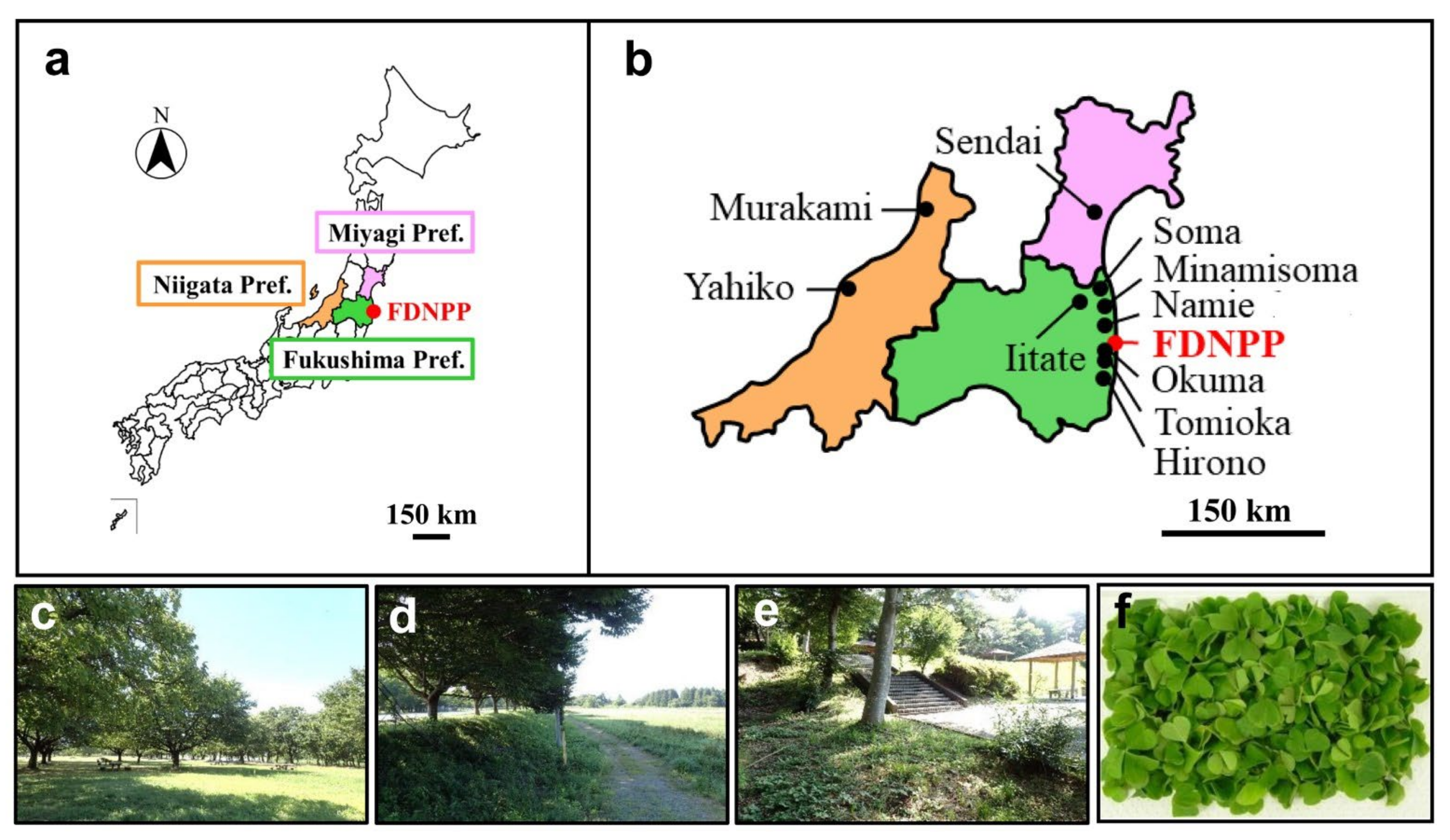 Life | Free Full-Text | Metabolomic Profiles of the Creeping Wood Sorrel  Oxalis corniculata in Radioactively Contaminated Fields in Fukushima:  Dose-Dependent Changes in Key Metabolites