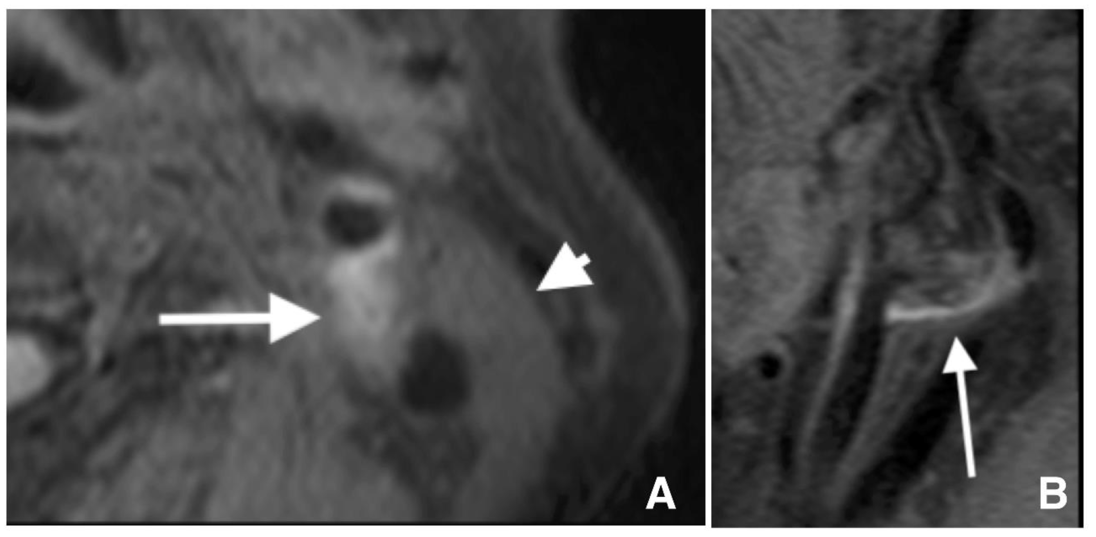 Life 12 00131 g002 Life 12 00131 g002