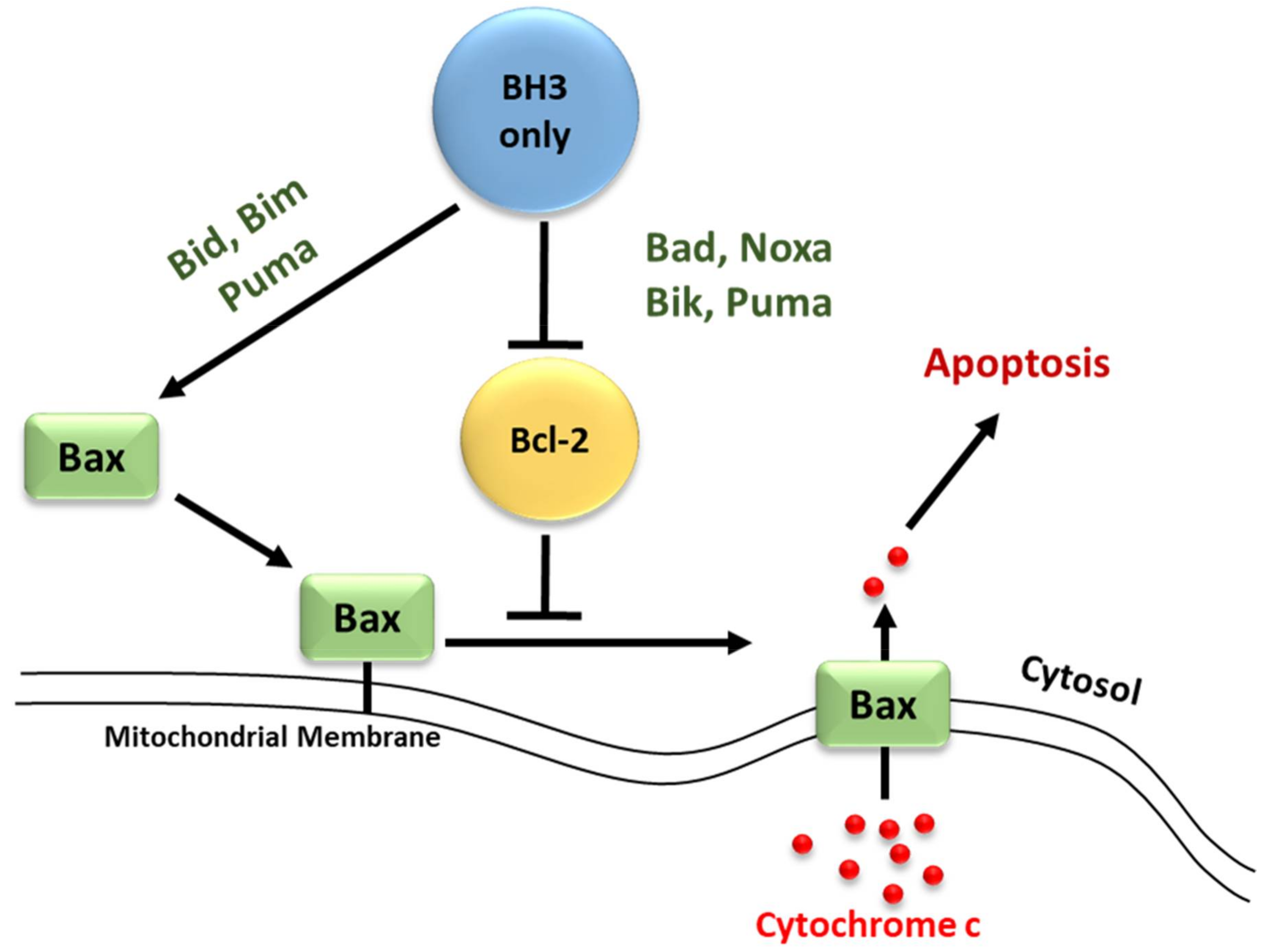 progressiv Montgomery transportabel Life | Free Full-Text | BH3-Only Proteins Noxa and Puma Are Key Regulators  of Induced Apoptosis